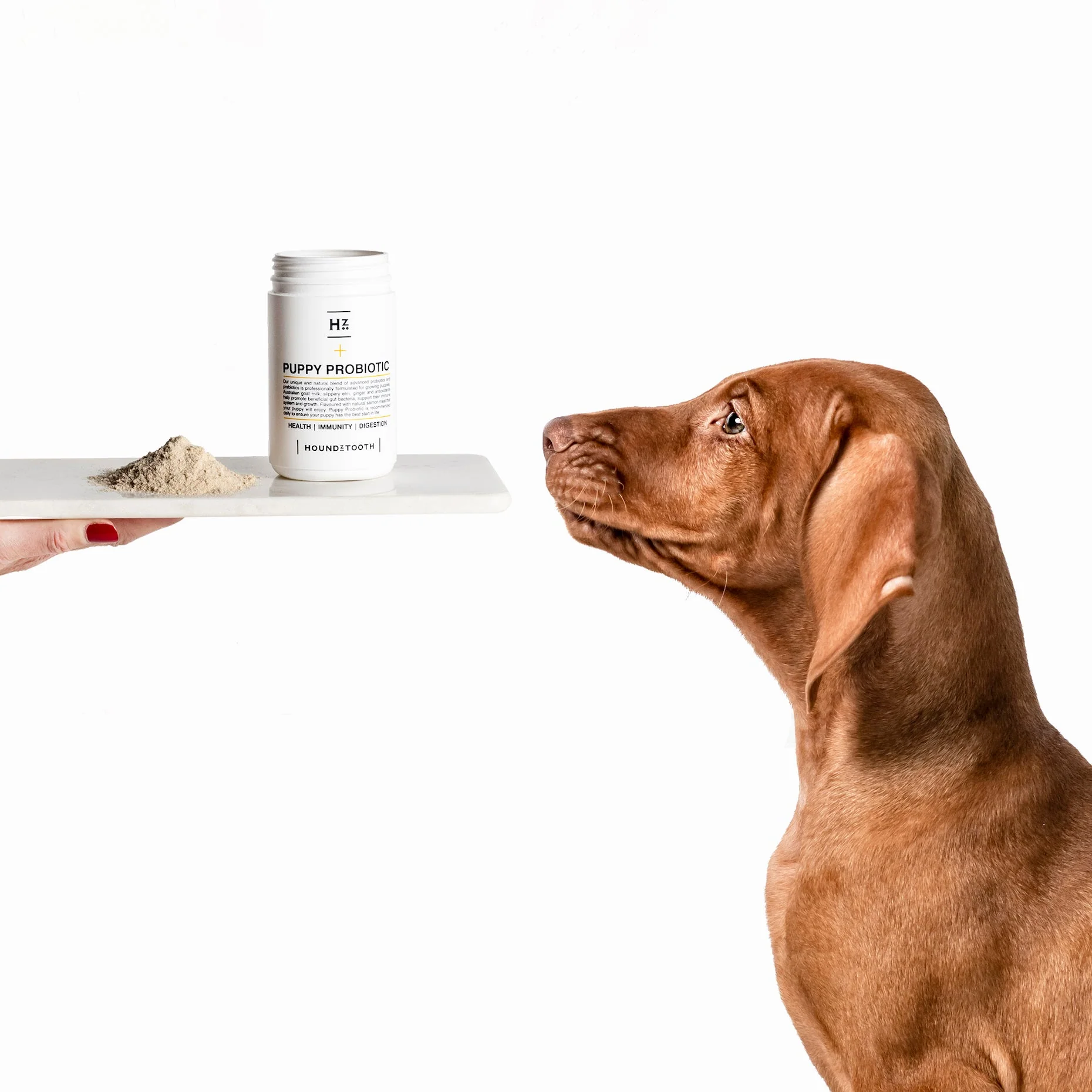 Houndztooth Puppy Probiotic Health Supplement 200g - Image 5