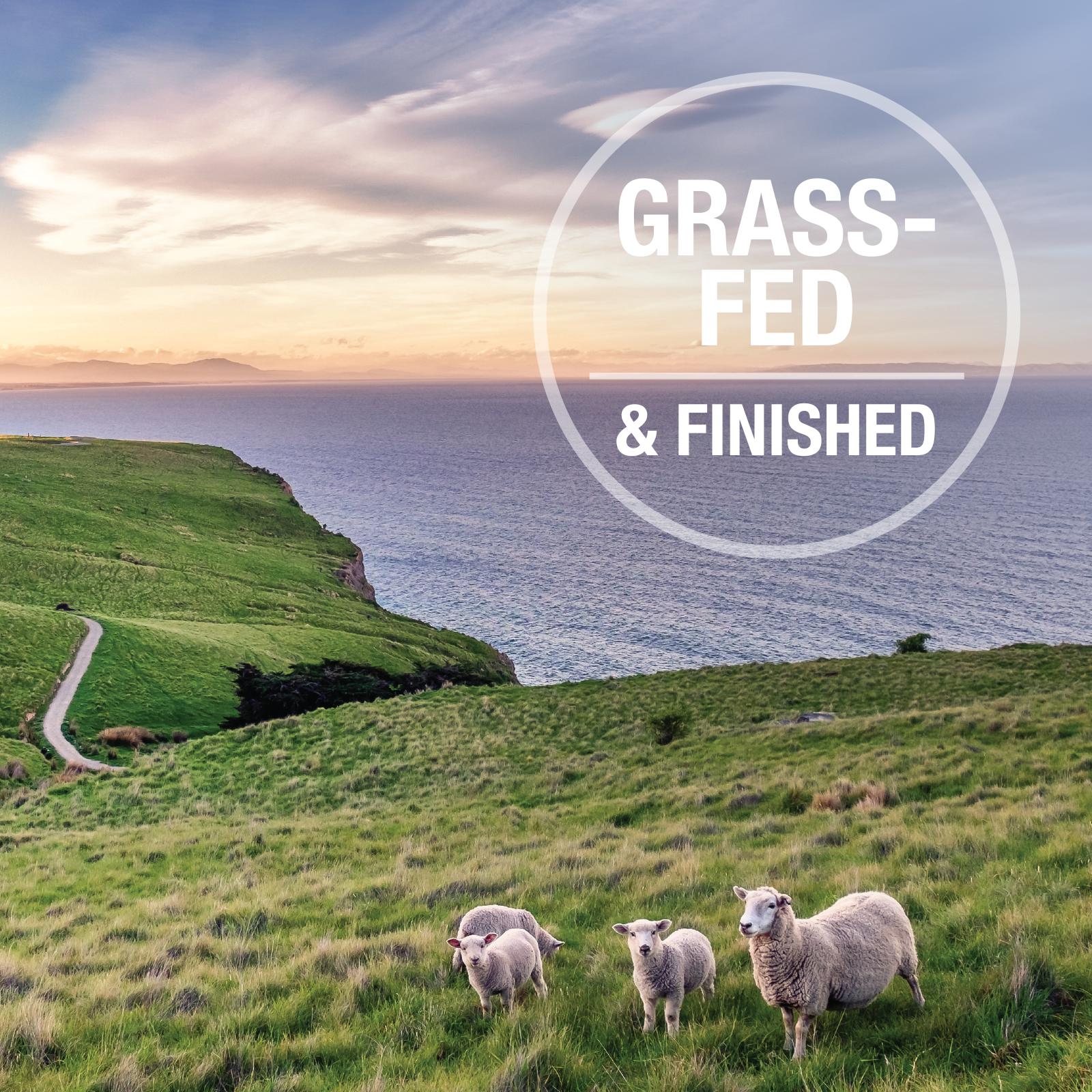 K9 Natural Beef Feast Wet Dog Food 170g - Image 6