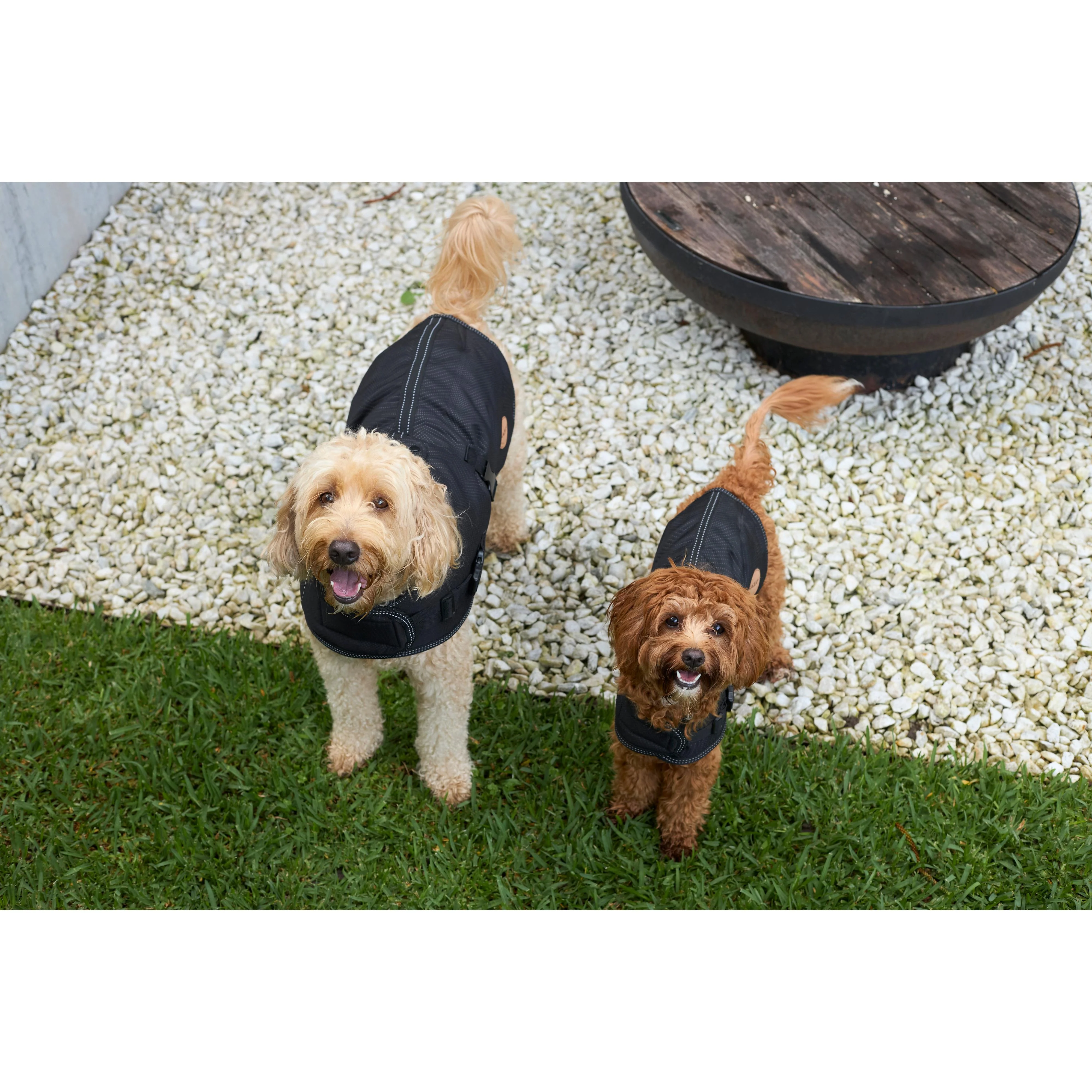 Kazoo Apparel Adventure Coat with Harness Hatch Black Extra Large - Image 5