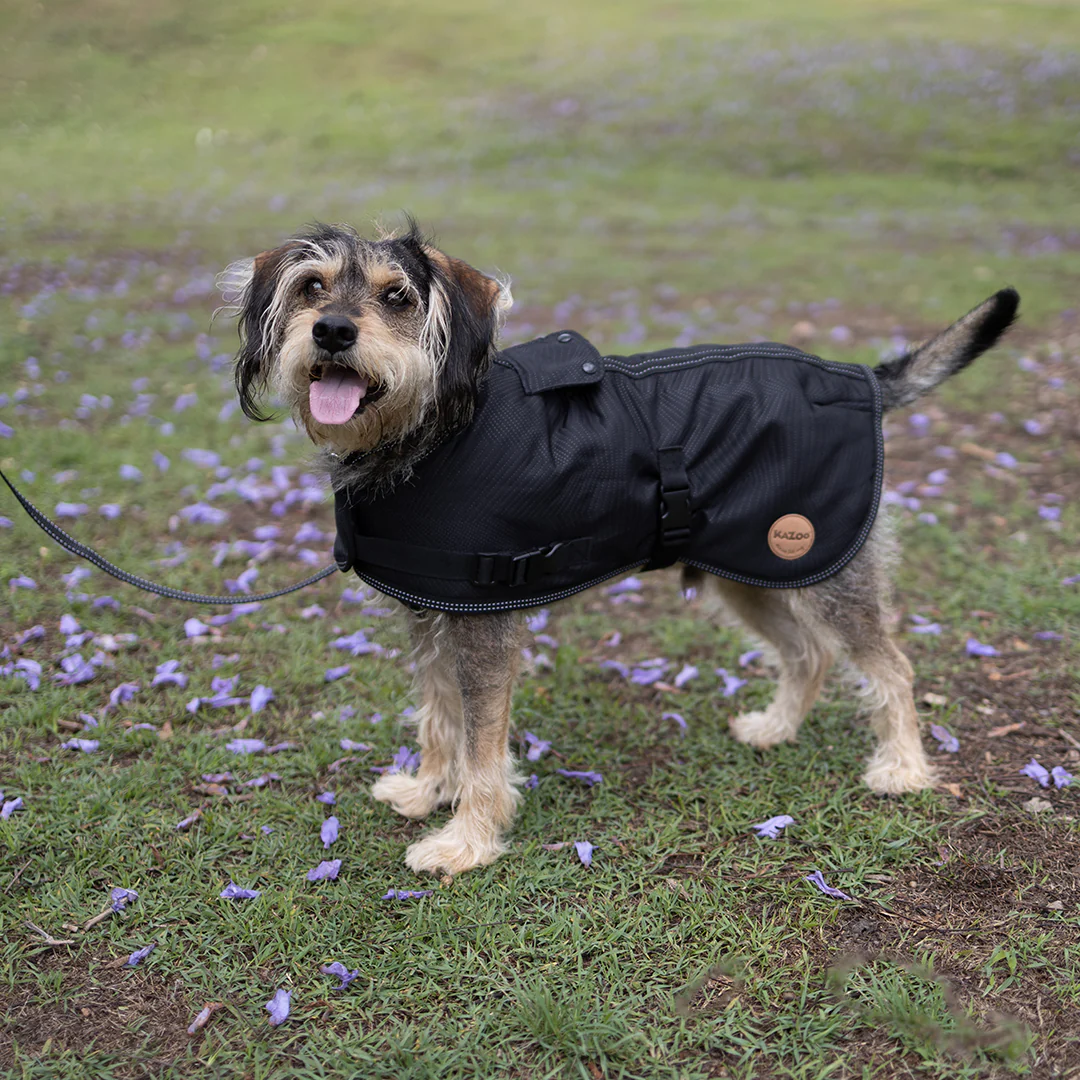 Kazoo Apparel Adventure Coat with Harness Hatch Black Extra Small - Image 4