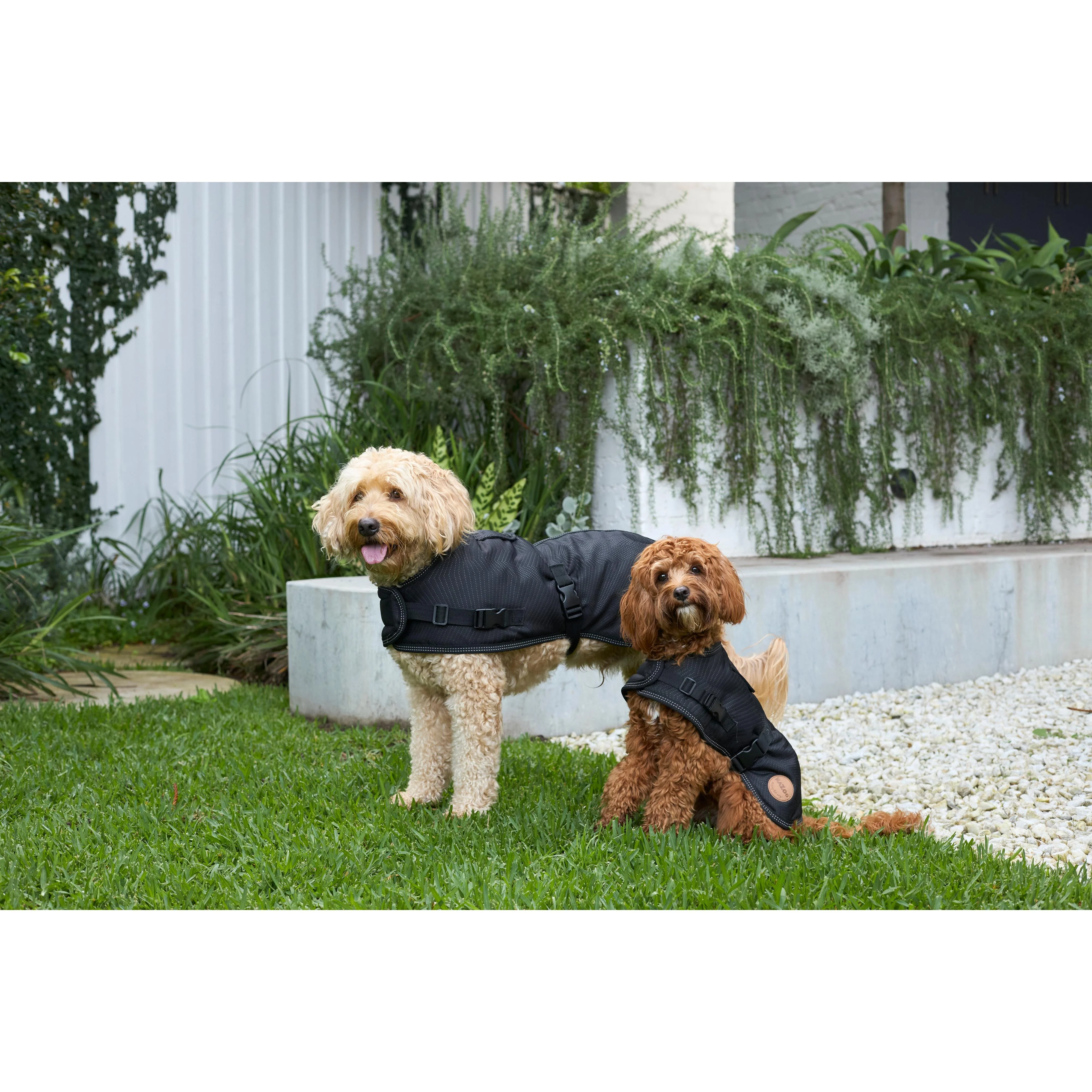 Kazoo Apparel Adventure Coat with Harness Hatch Black Large - Image 6