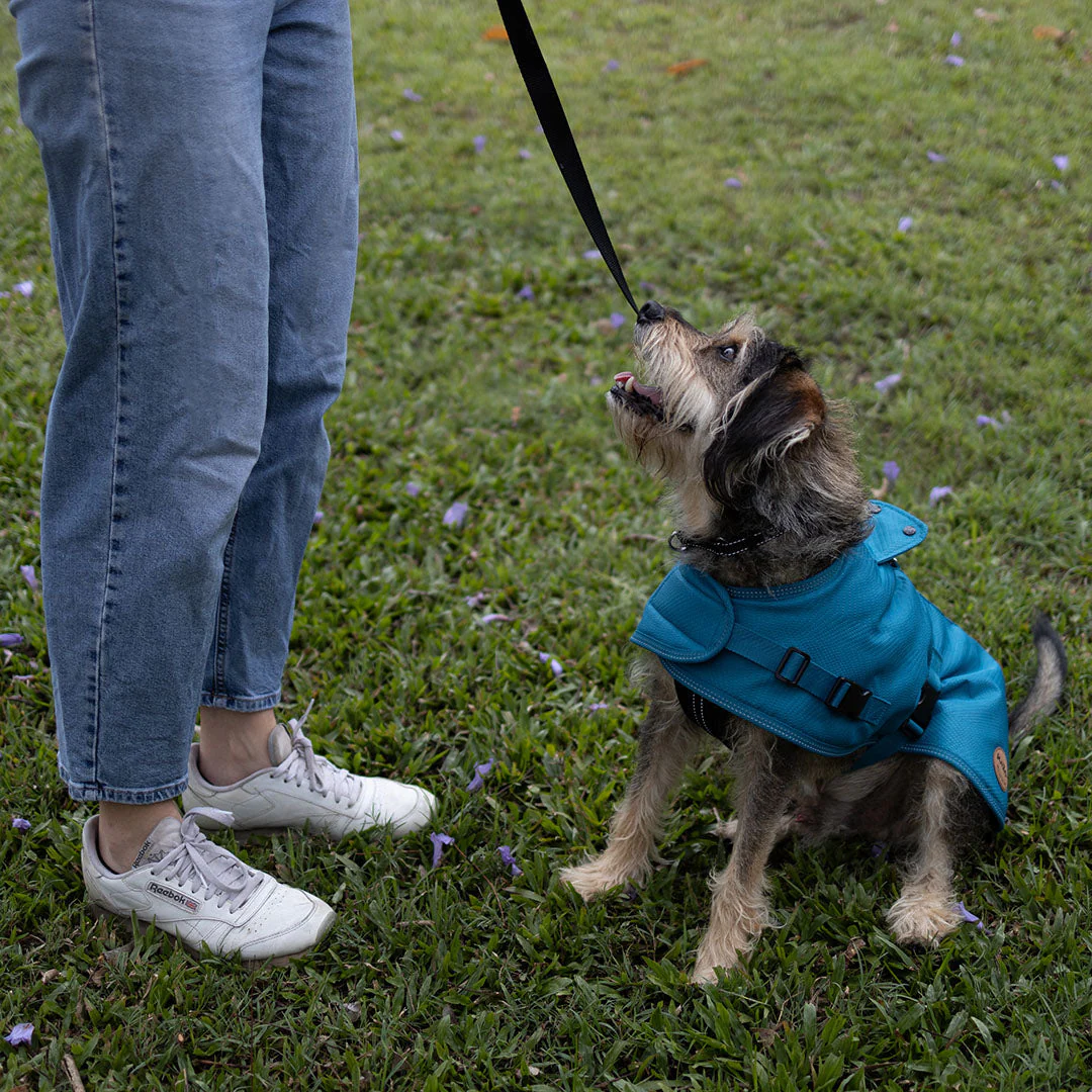 Kazoo Apparel Adventure Coat with Harness Hatch Blue Extra Large 66cm - Image 5