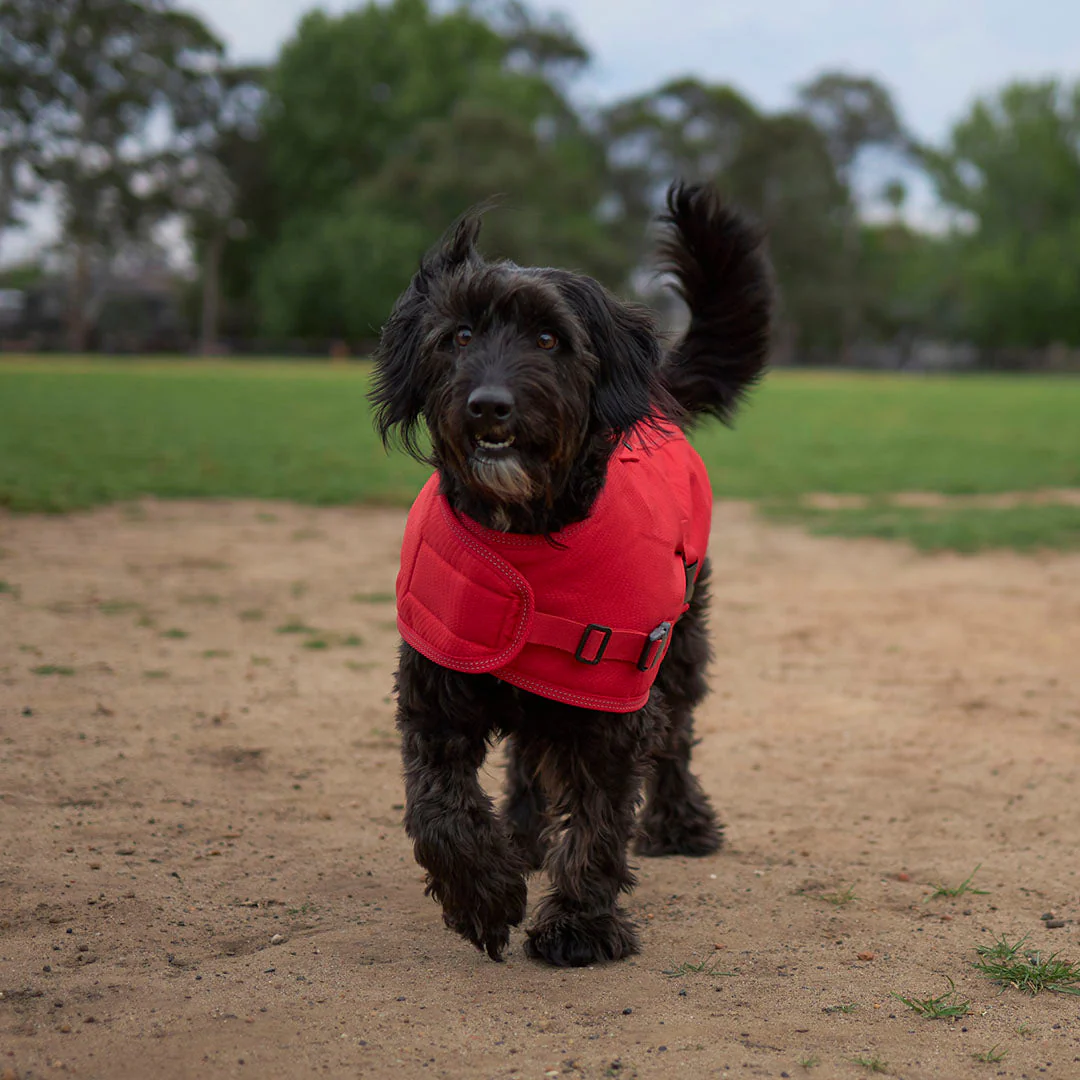 Kazoo Apparel Adventure Coat with Harness Hatch Red Extra Large 66cm - Image 4