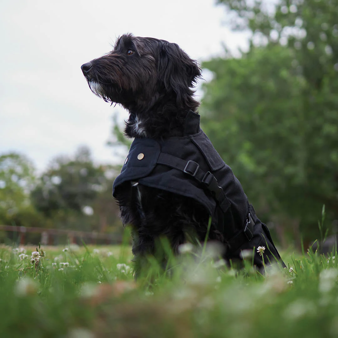 Kazoo Apparel Oilskin Dog Coat Black Extra Large 66cm - Image 3