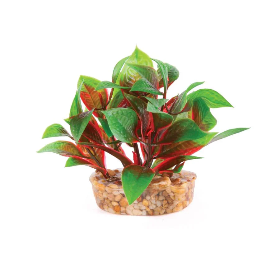 Kazoo Aquarium Artificial Plants Mini Assorted - Image 4