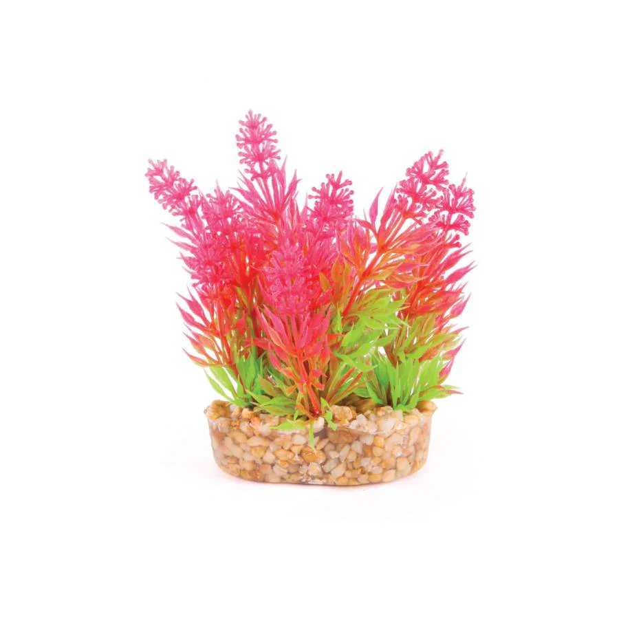 Kazoo Aquarium Artificial Plants Mini Assorted - Image 5