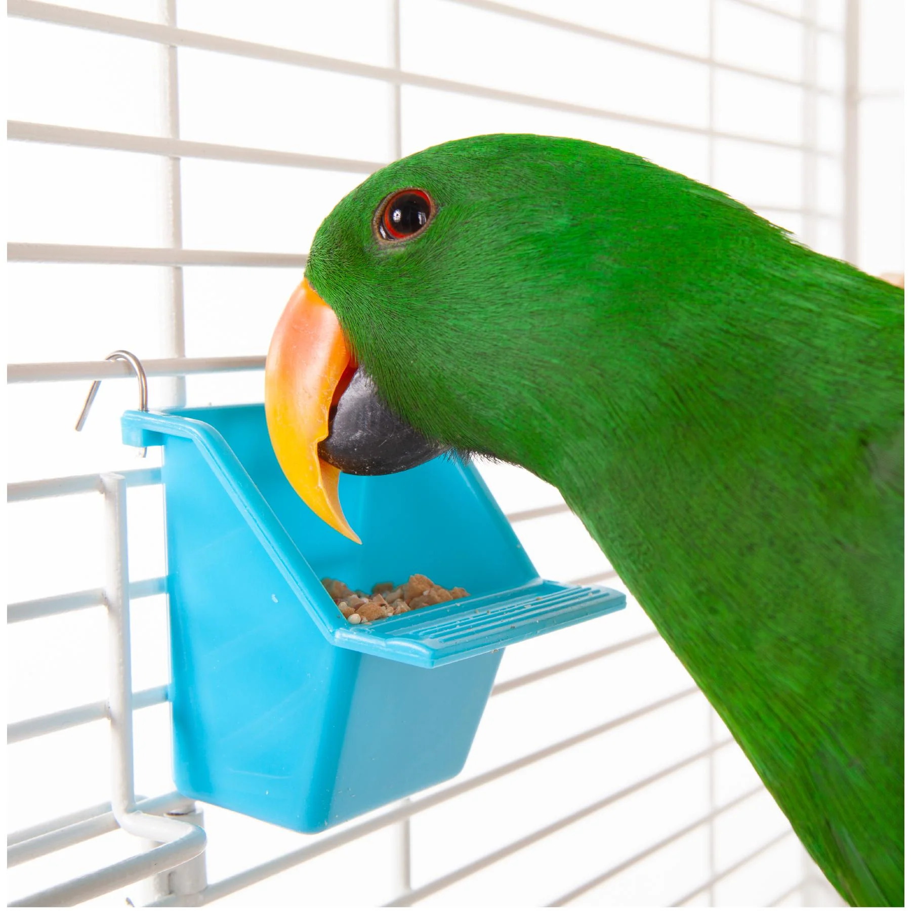 Kazoo Bird Feeder Rectangle Medium 2 Pack - Image 3