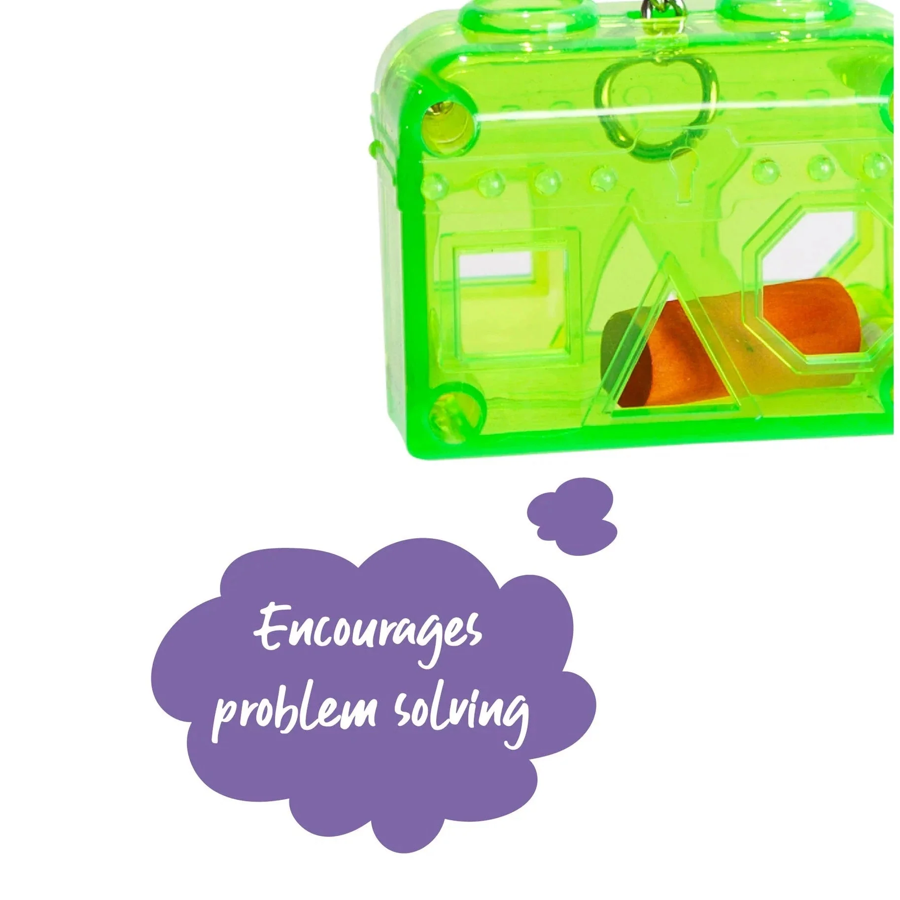 Kazoo Bird Toy Acrylic Puzzle Box Small - Image 3