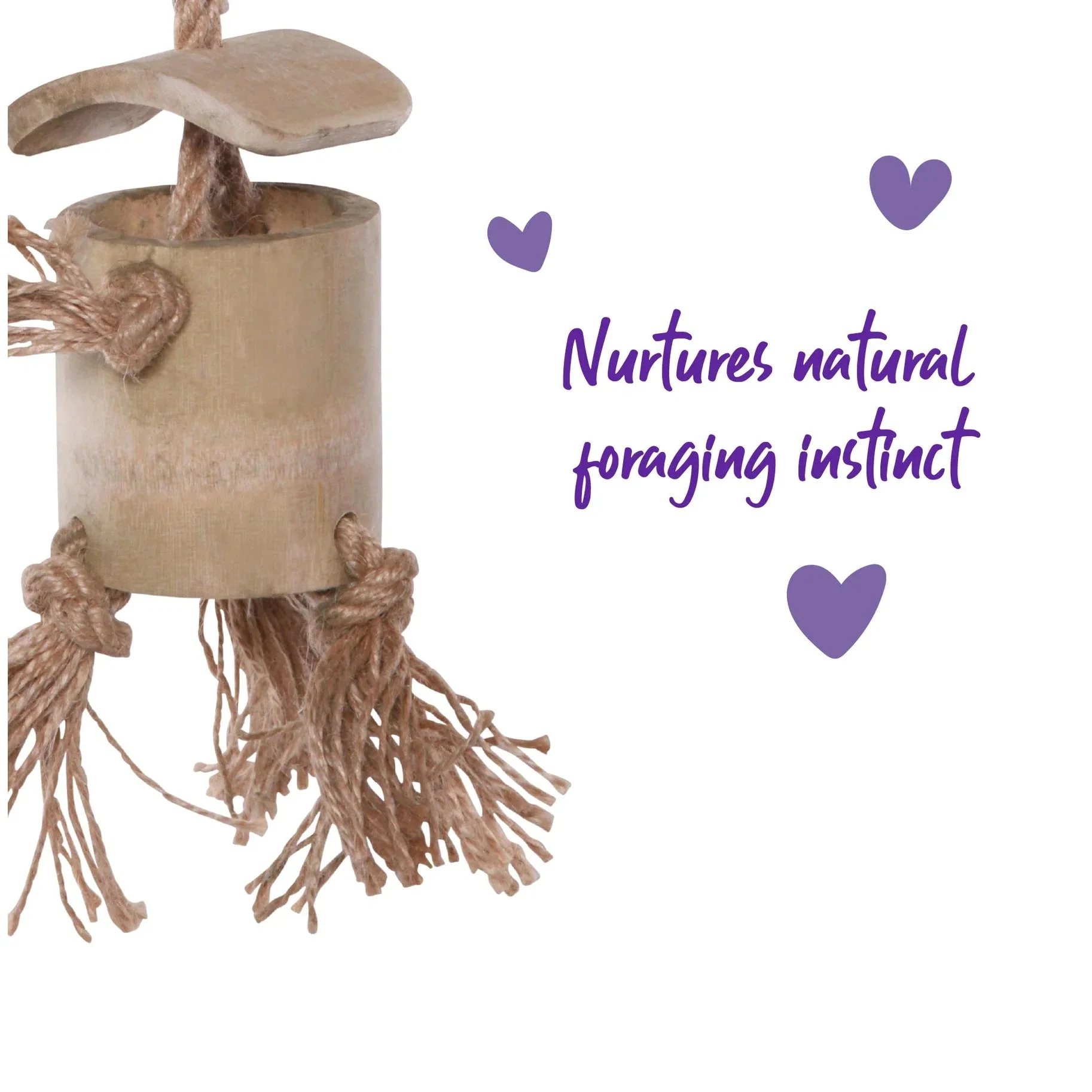 Kazoo Bird Toy Natural Wooden Well with Rope - Image 3