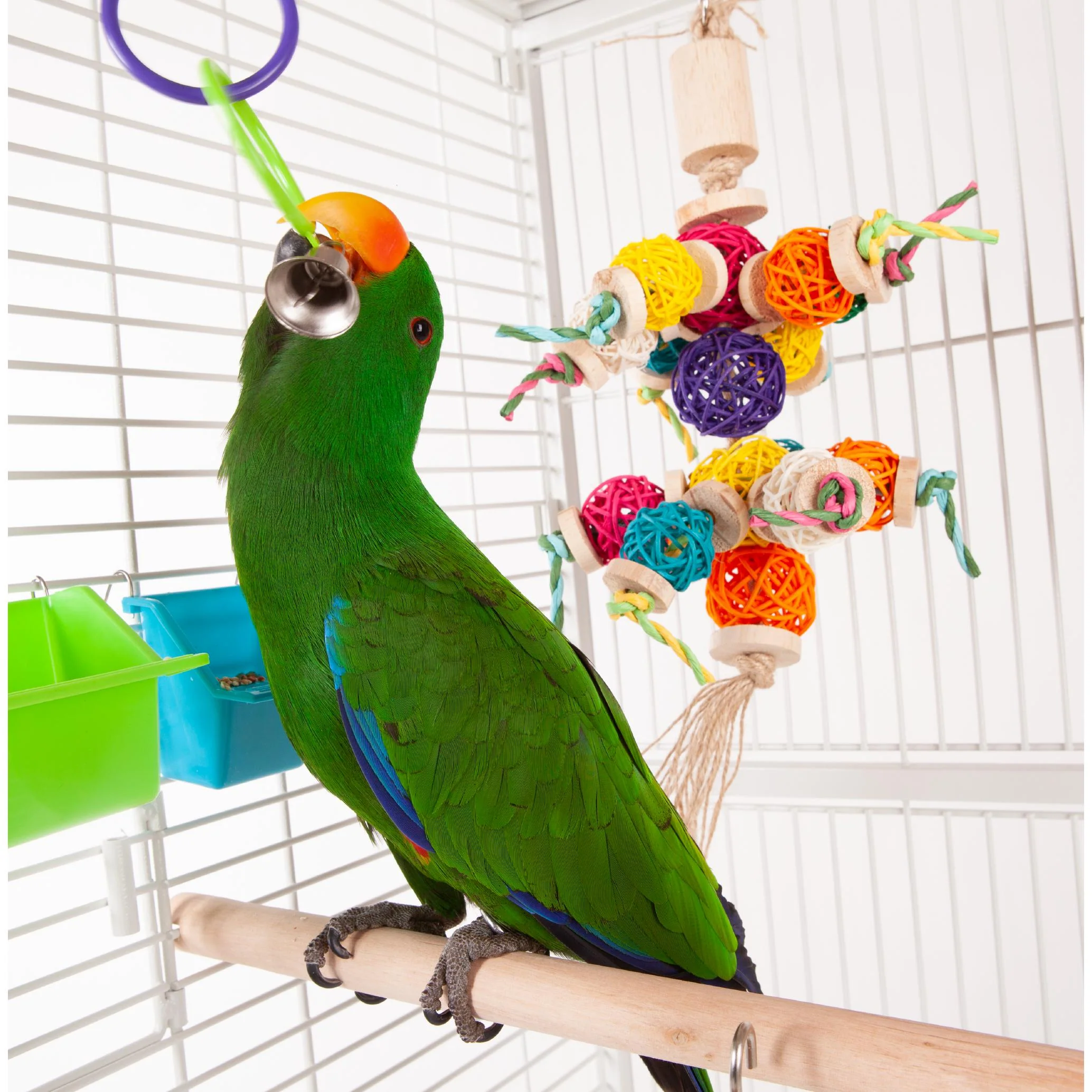 Kazoo Bird Toy Triple Ring with Bell - Image 3