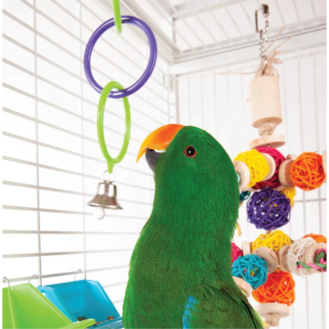 Kazoo Bird Toy Triple Ring with Bell - Image 4