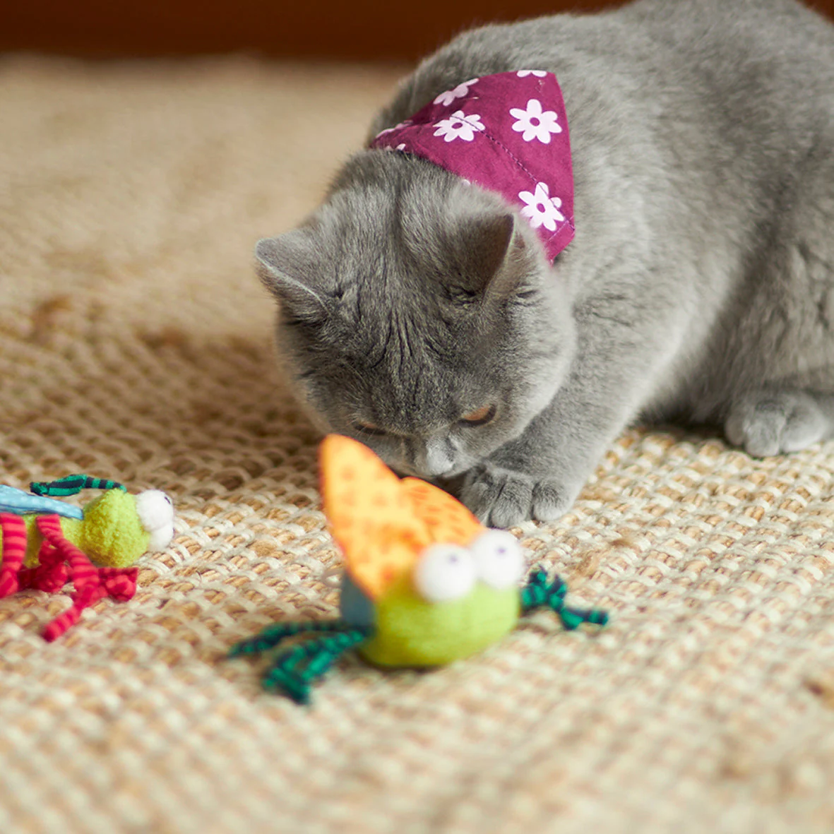Kazoo Buzzing Bug Cat Toy - Image 4