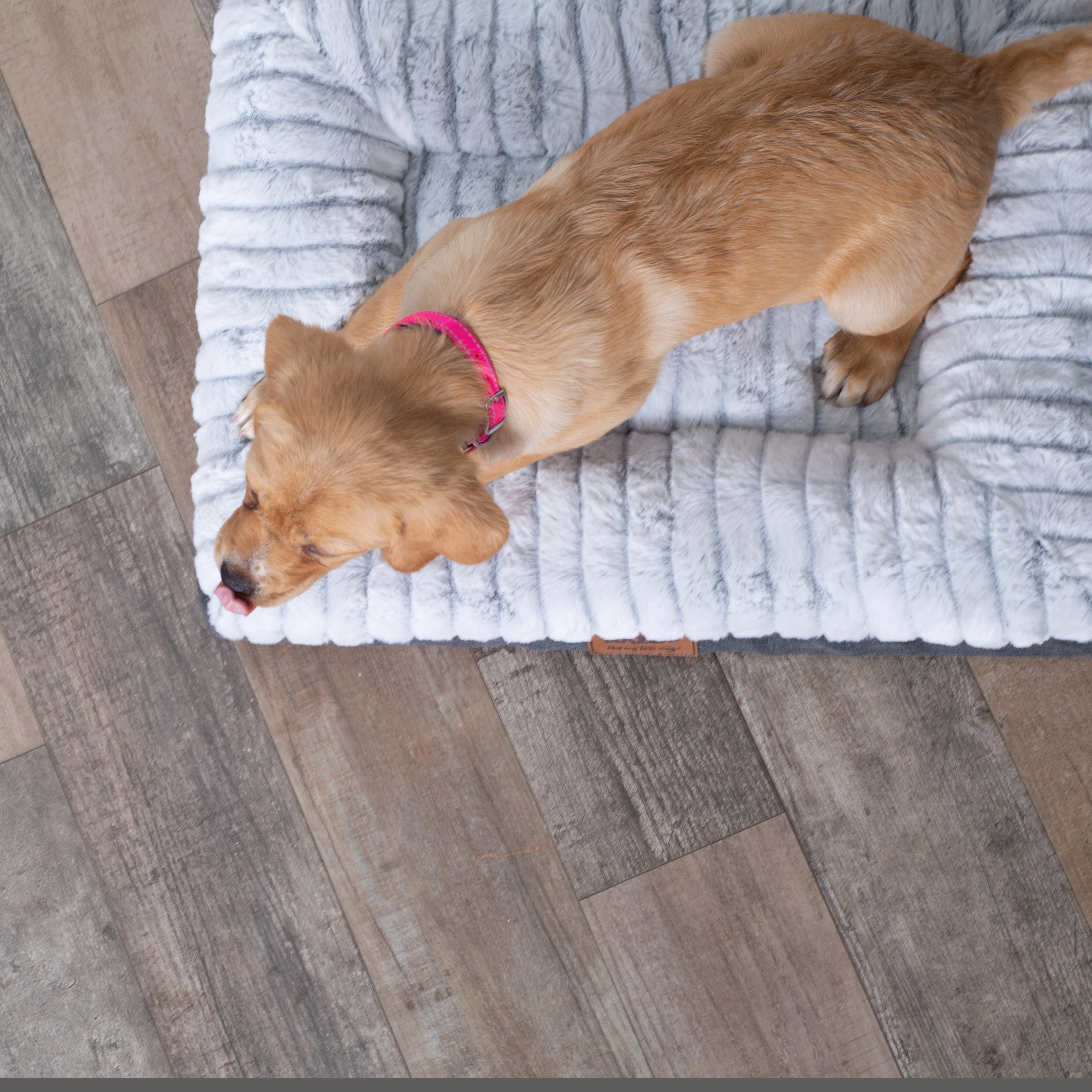 Kazoo Cloud Comfort Extra Large Grey Dog Bed - Image 3