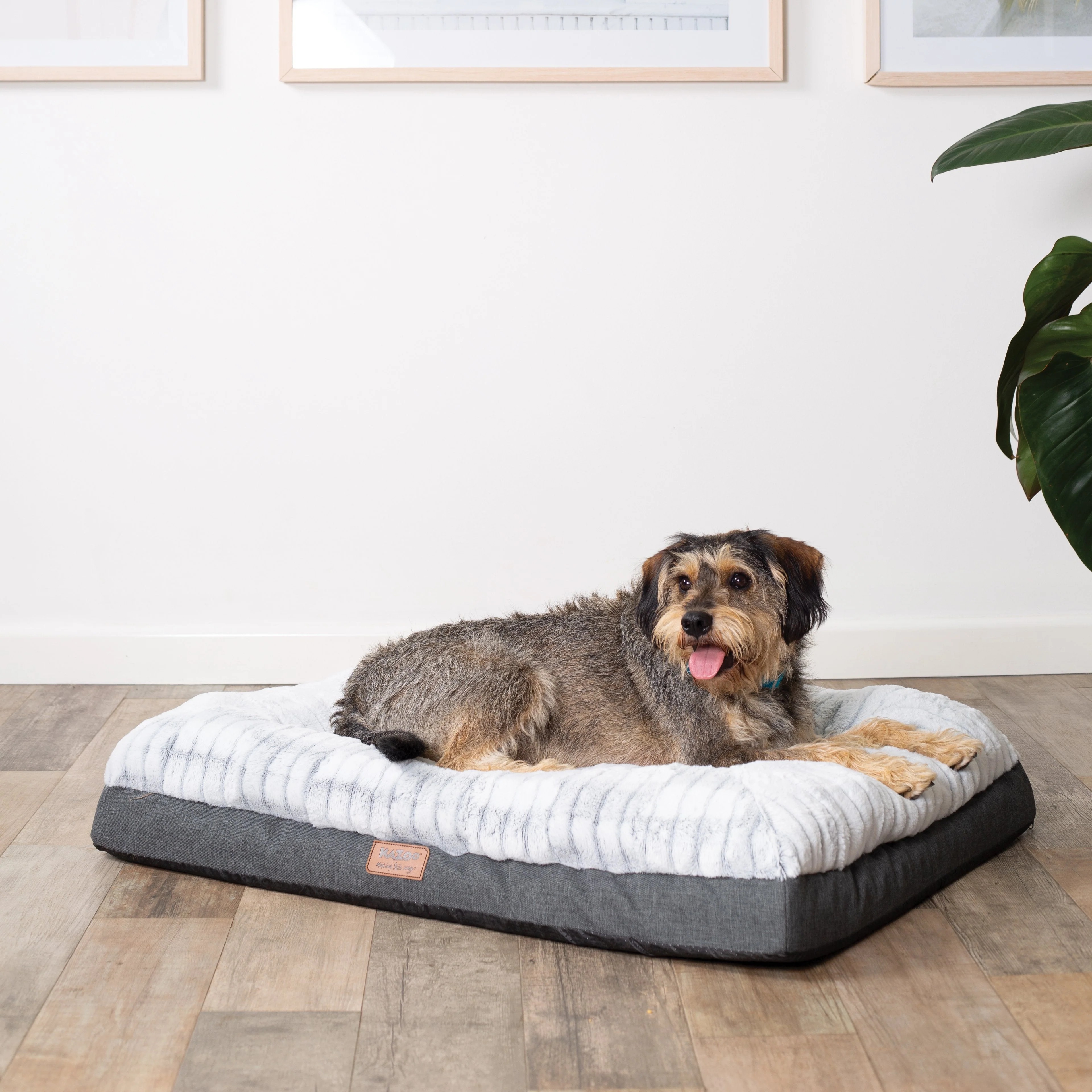 Kazoo Cloud Comfort Large Grey Dog Bed - Image 4