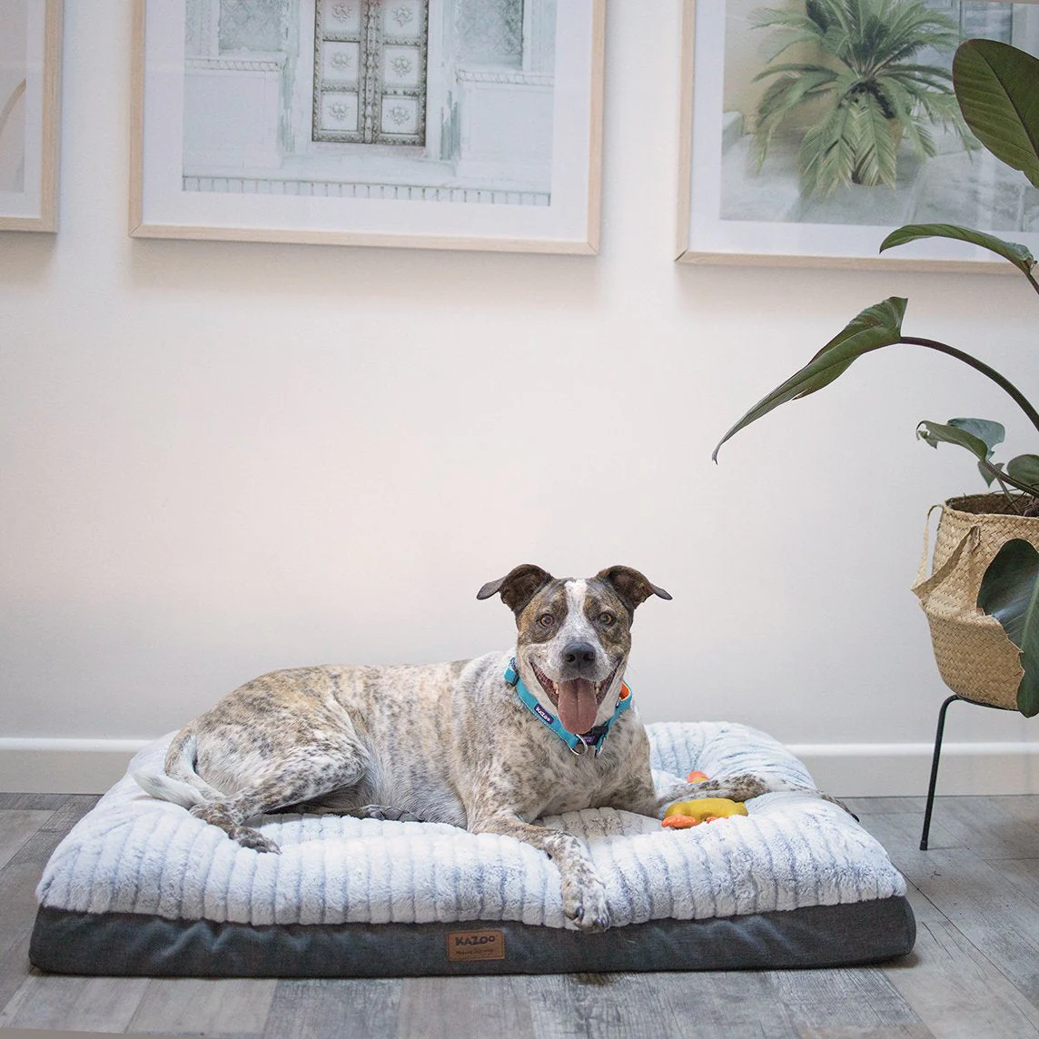 Kazoo Cloud Comfort Large Grey Dog Bed - Image 5