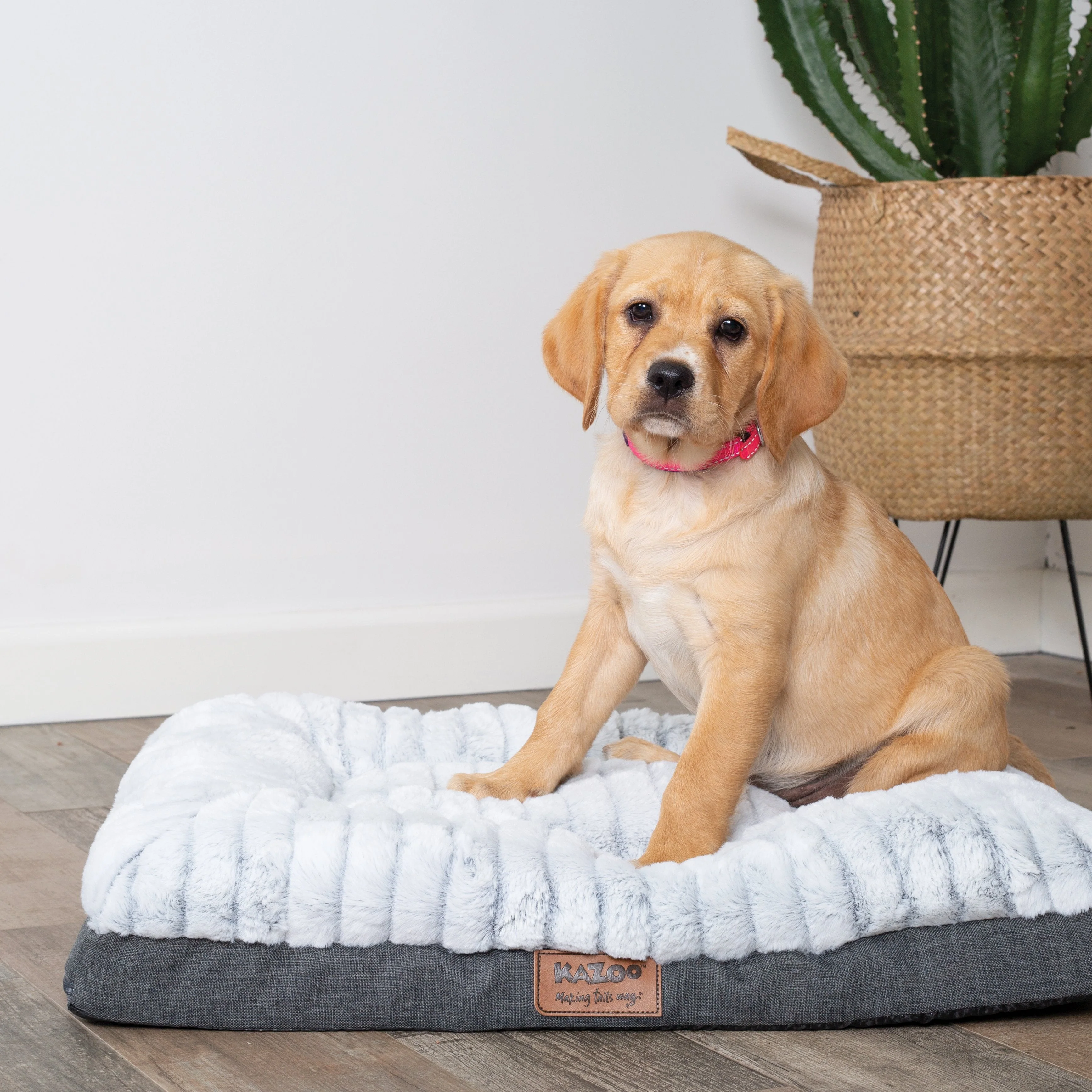 Kazoo Cloud Comfort Large Grey Dog Bed - Image 6