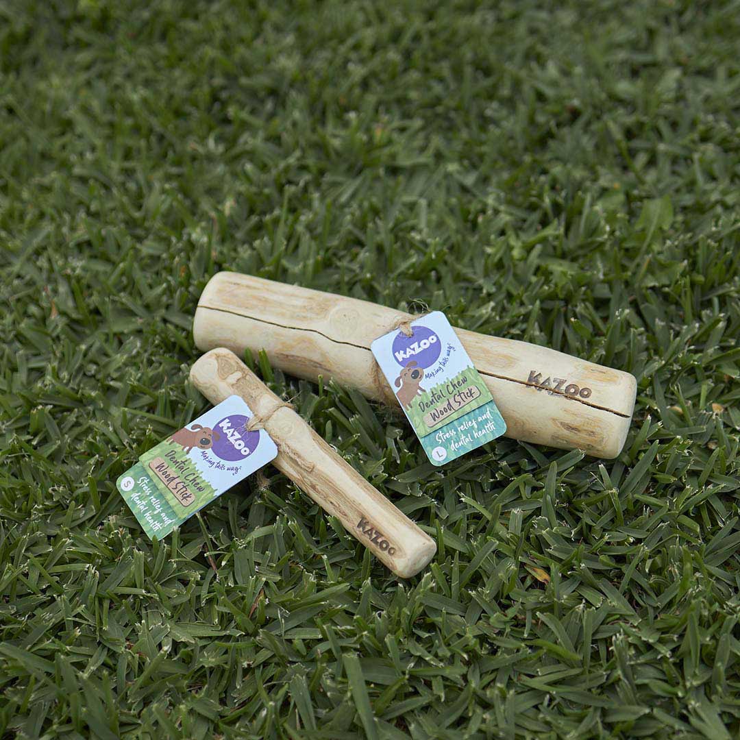 Kazoo Dental Chew Coffee Wood Stick Large - Image 4