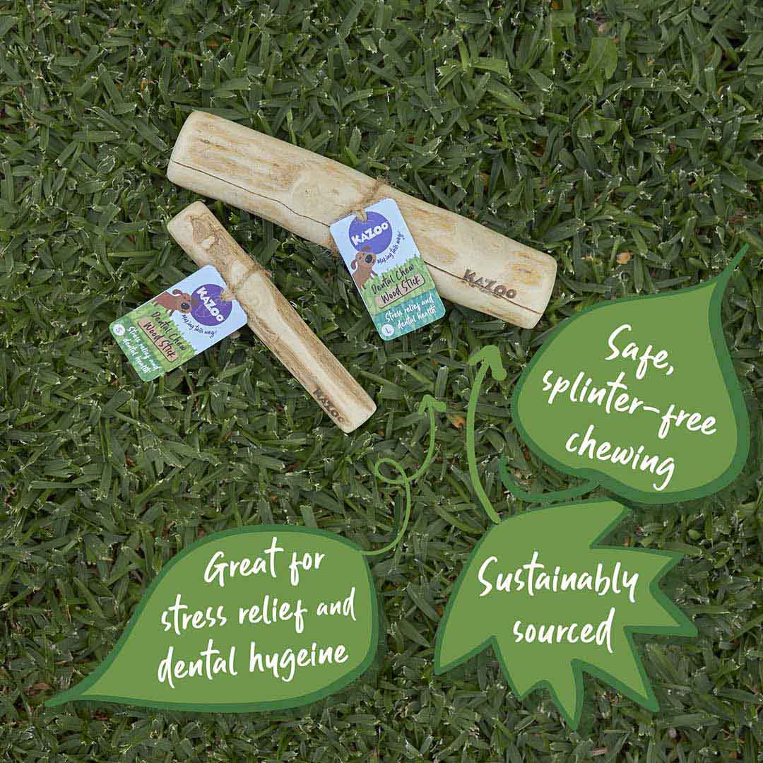 Kazoo Dental Chew Coffee Wood Stick Small - Image 3