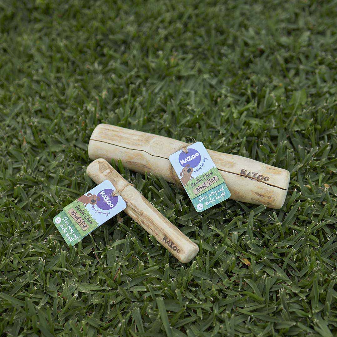Kazoo Dental Chew Coffee Wood Stick Small - Image 4