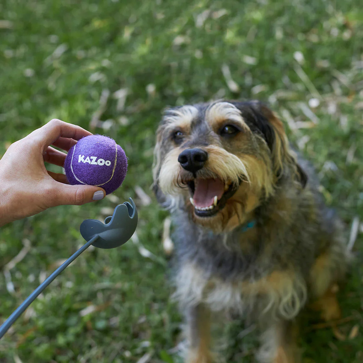 Kazoo Eco Friendly Ball Thrower Dog Toy Medium - Image 4