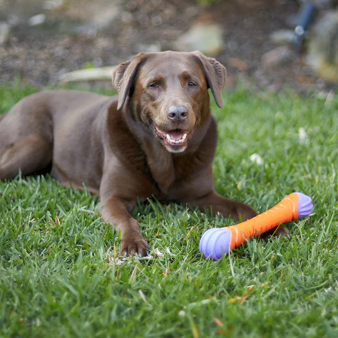 Kazoo Extreme Play Chew Stick Dog Toy Large - Image 2