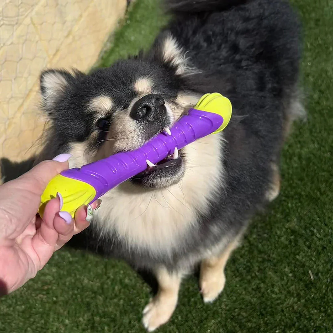 Kazoo Extreme Play Chew Stick Dog Toy Medium - Image 4