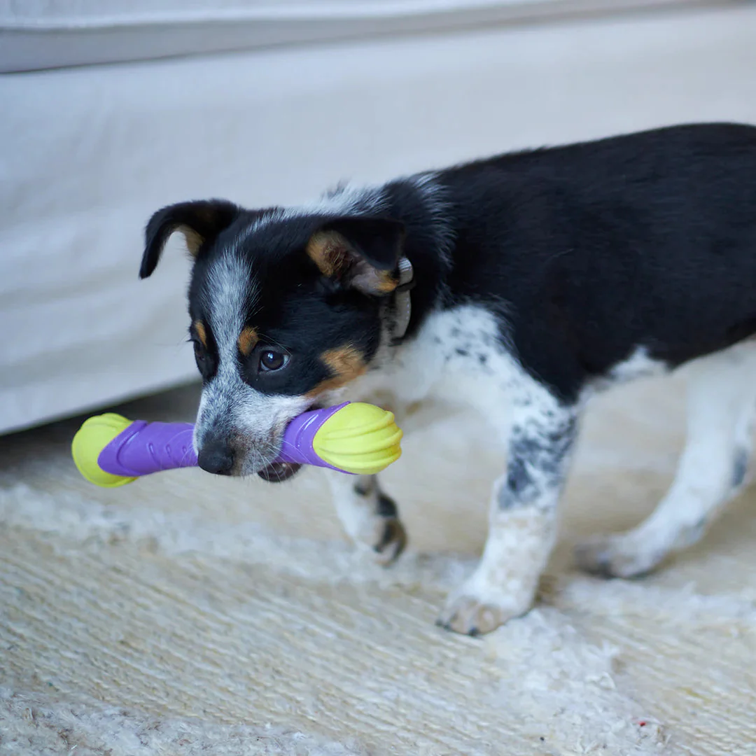 Kazoo Extreme Play Chew Stick Dog Toy Medium - Image 5