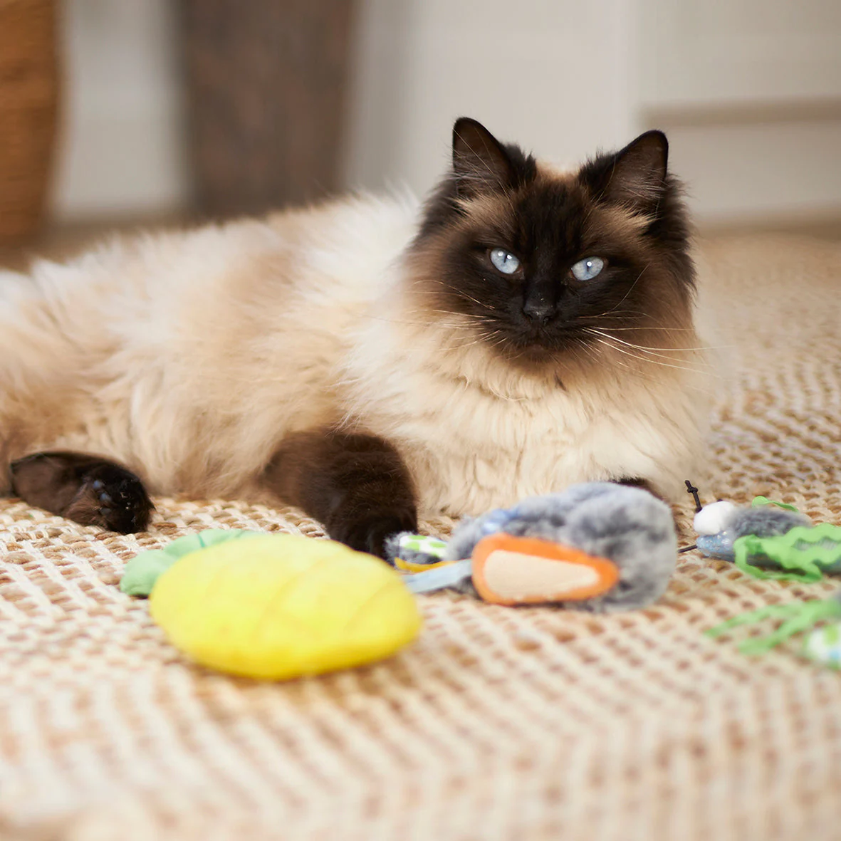 Kazoo Hungry Bunny Cat Toy - Image 2