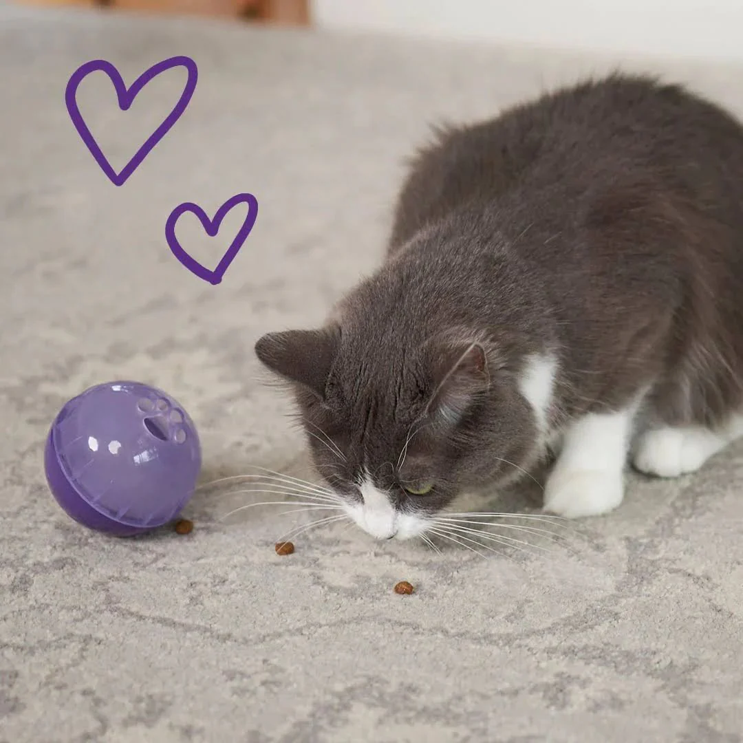 Kazoo Interactive Treat Dispensing Ball Cat Toy - Image 5