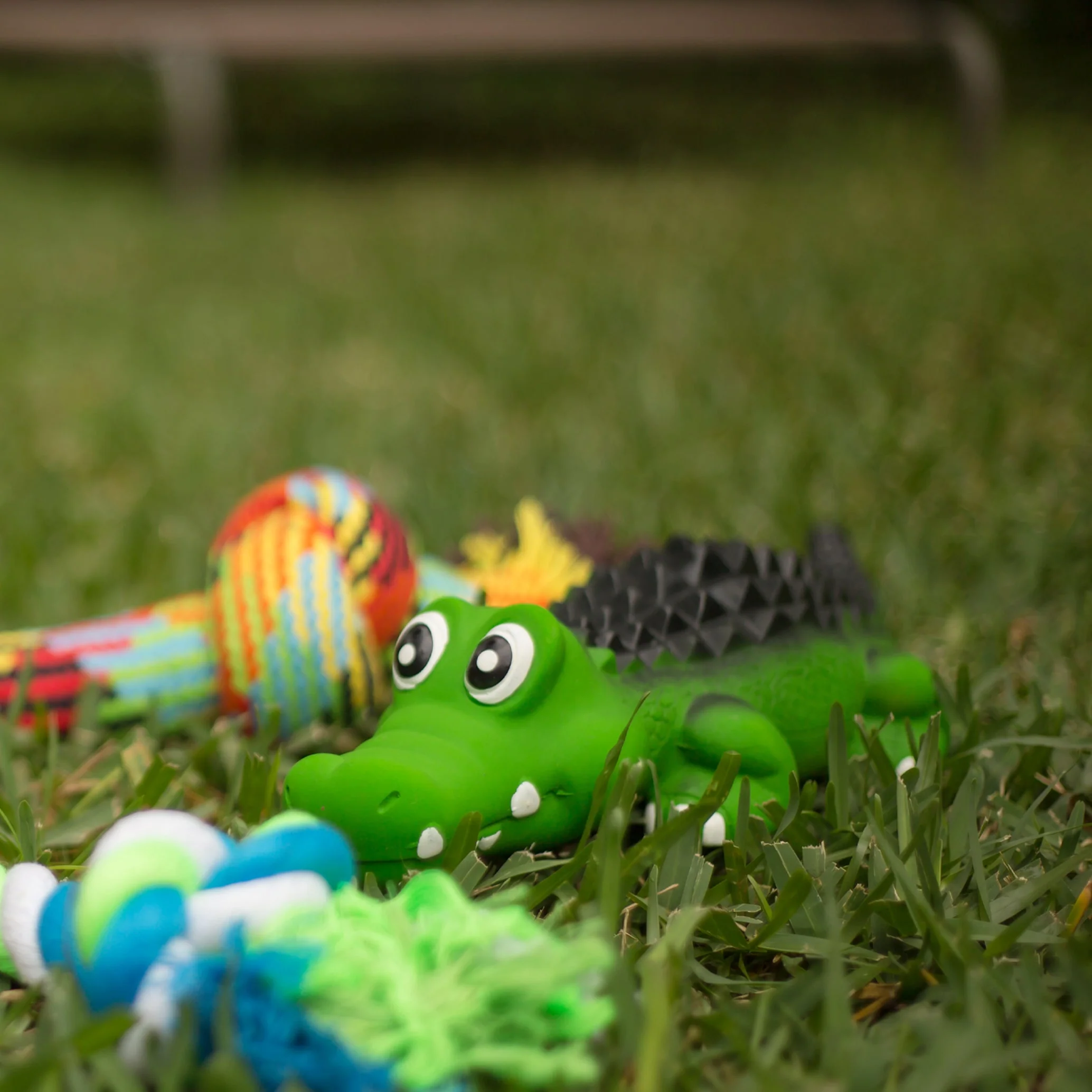 Kazoo Cool Crocodile Large Dog Toy - Image 4