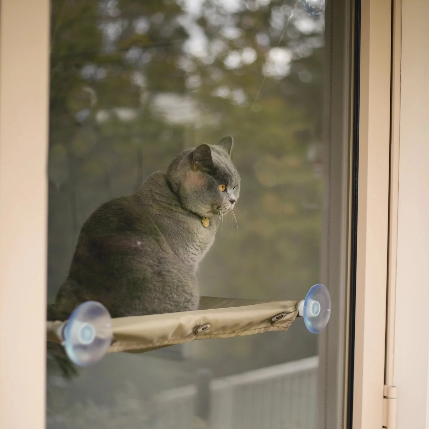 Kazoo Lookout Deluxe Window Cat Bed - Image 5