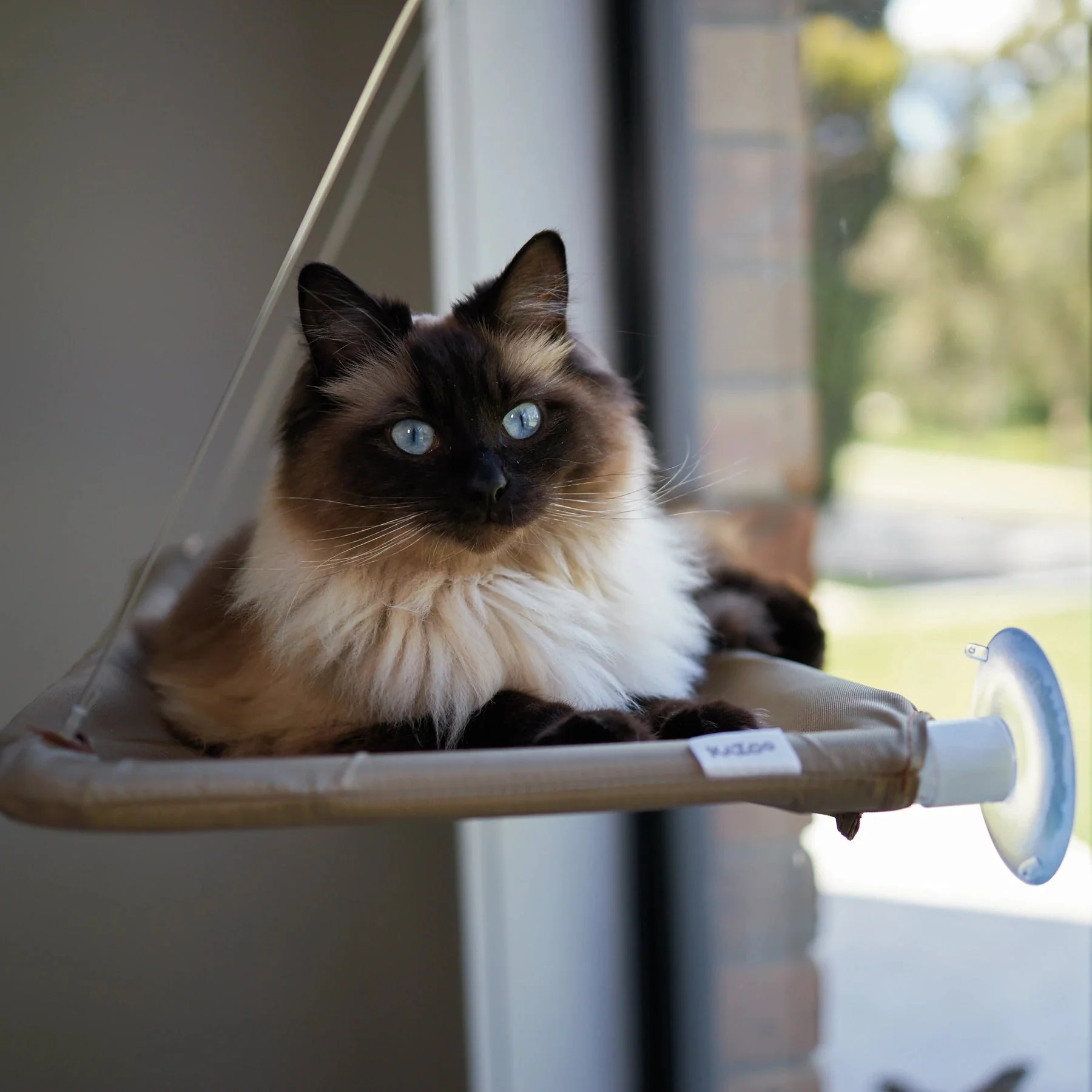 Kazoo Lookout Window Cat Bed - Image 3