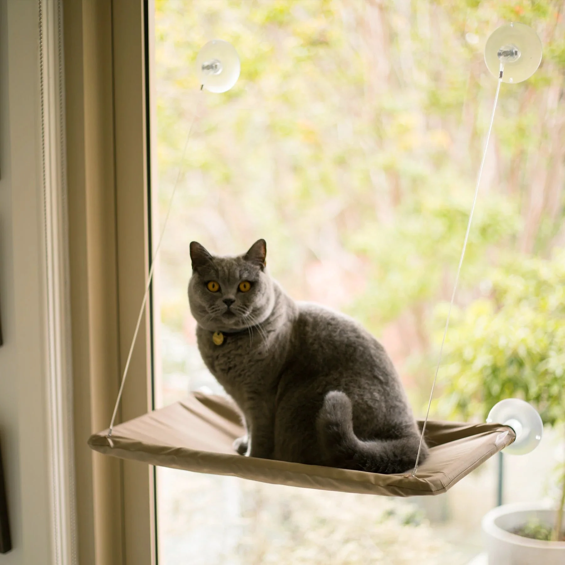 Kazoo Lookout Window Cat Bed - Image 6