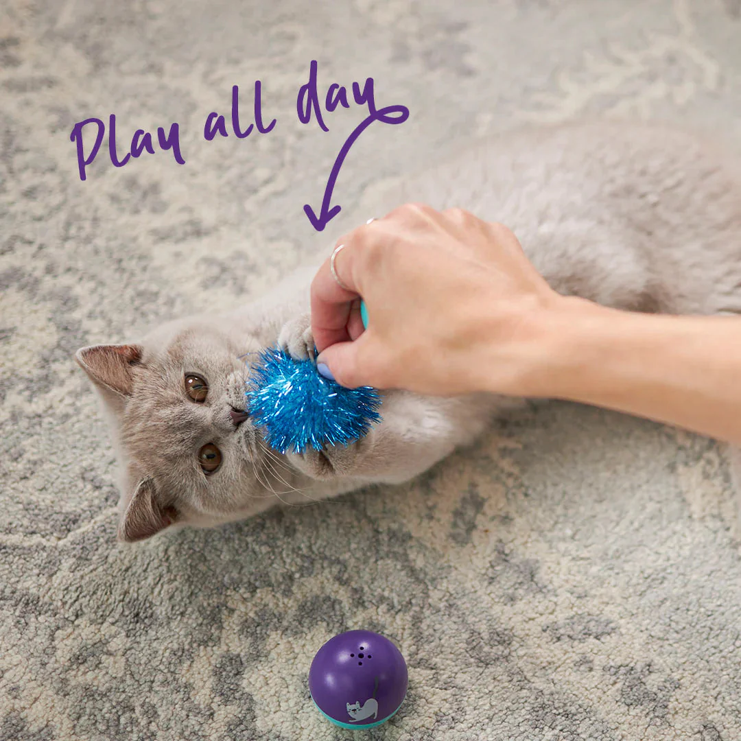 Kazoo Pom Pom Ball Cat Toy - Image 2