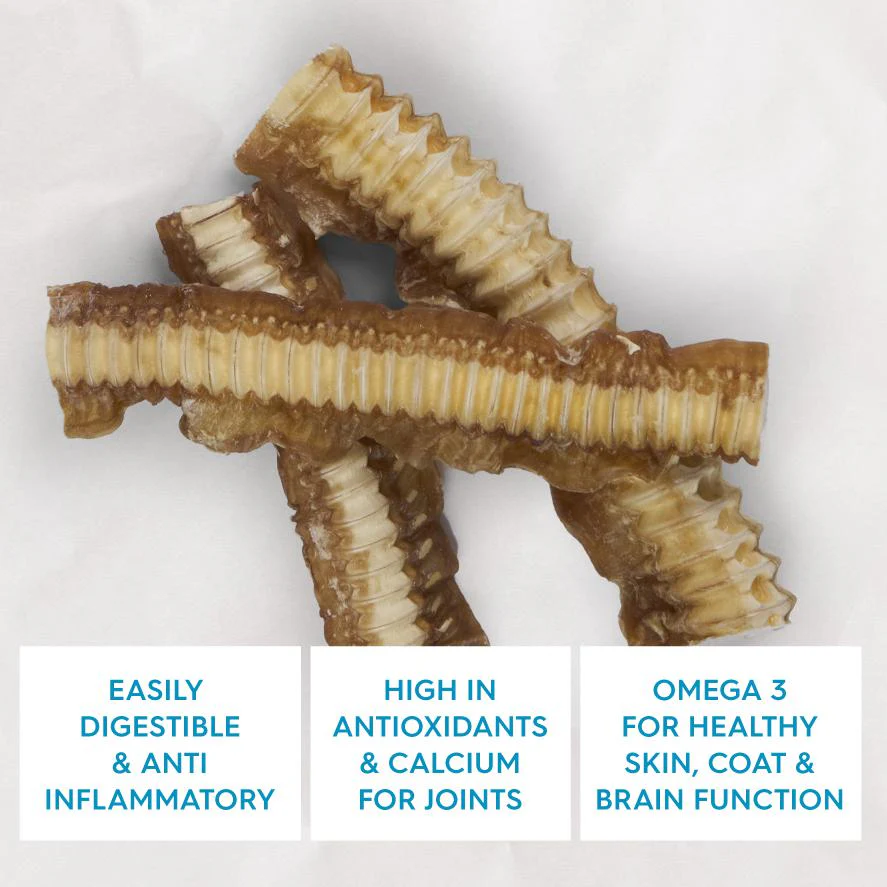 Kazoo Prime Cuts Shark Cartilage Dog Treats 100g - Image 4