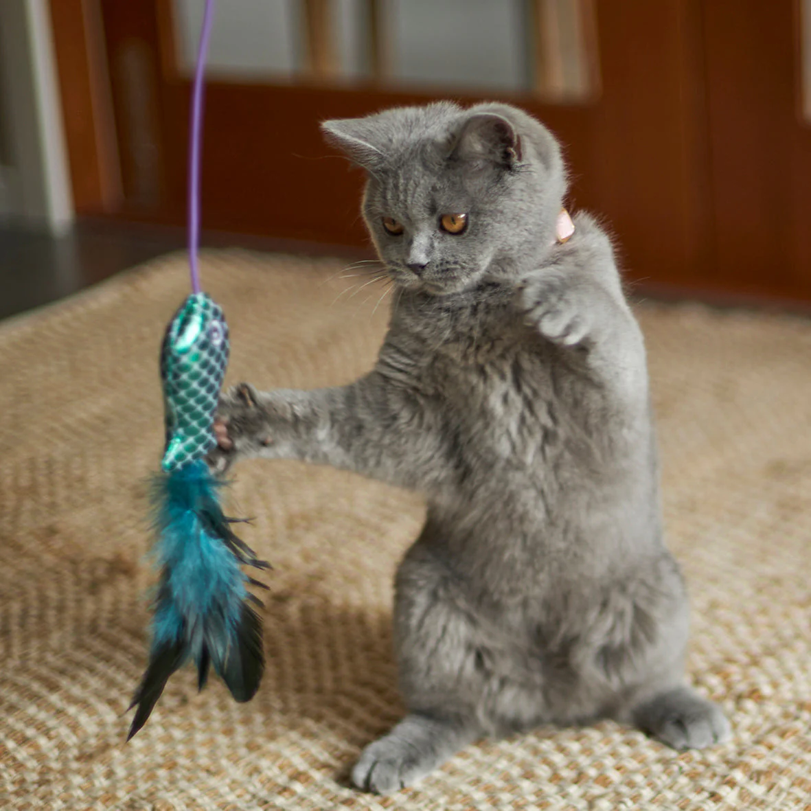 Kazoo Ripple Fish Play and Chase Wand Cat Toy - Image 4