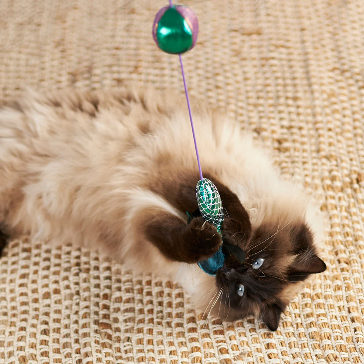 Kazoo Ripple Fish Play and Chase Wand Cat Toy - Image 5