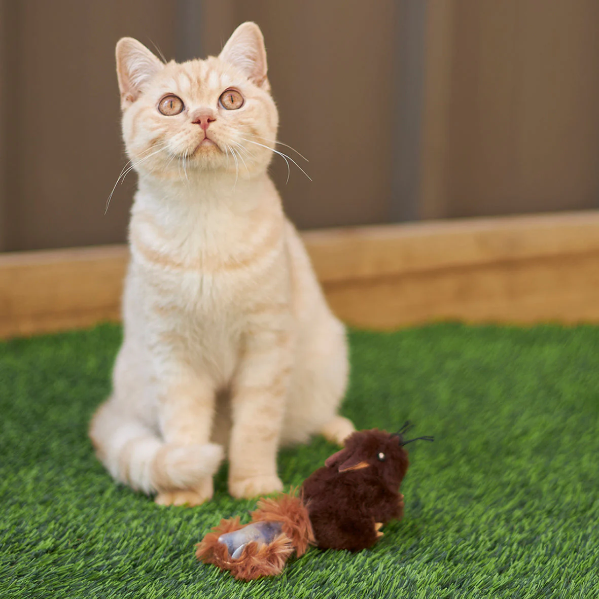 Kazoo Squishy Squirrel Cat Toy - Image 4
