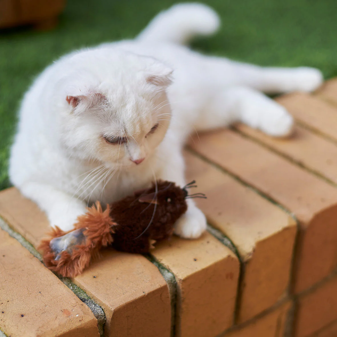 Kazoo Squishy Squirrel Cat Toy - Image 6