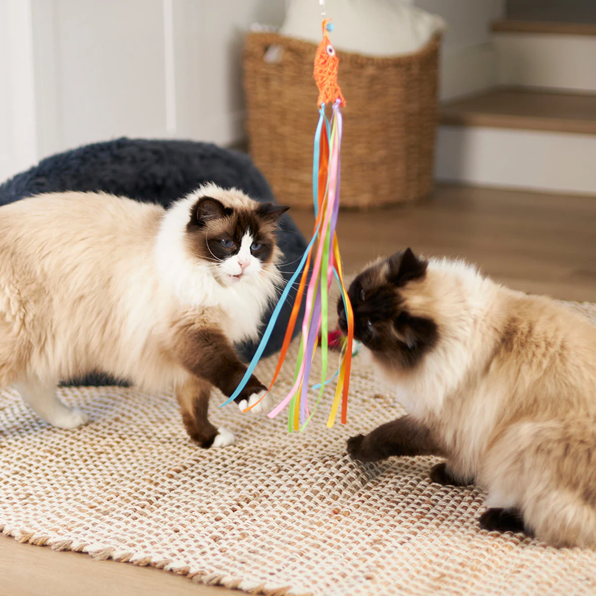 Kazoo Streamer Fish Play and Catch Wand Cat Toy - Image 3