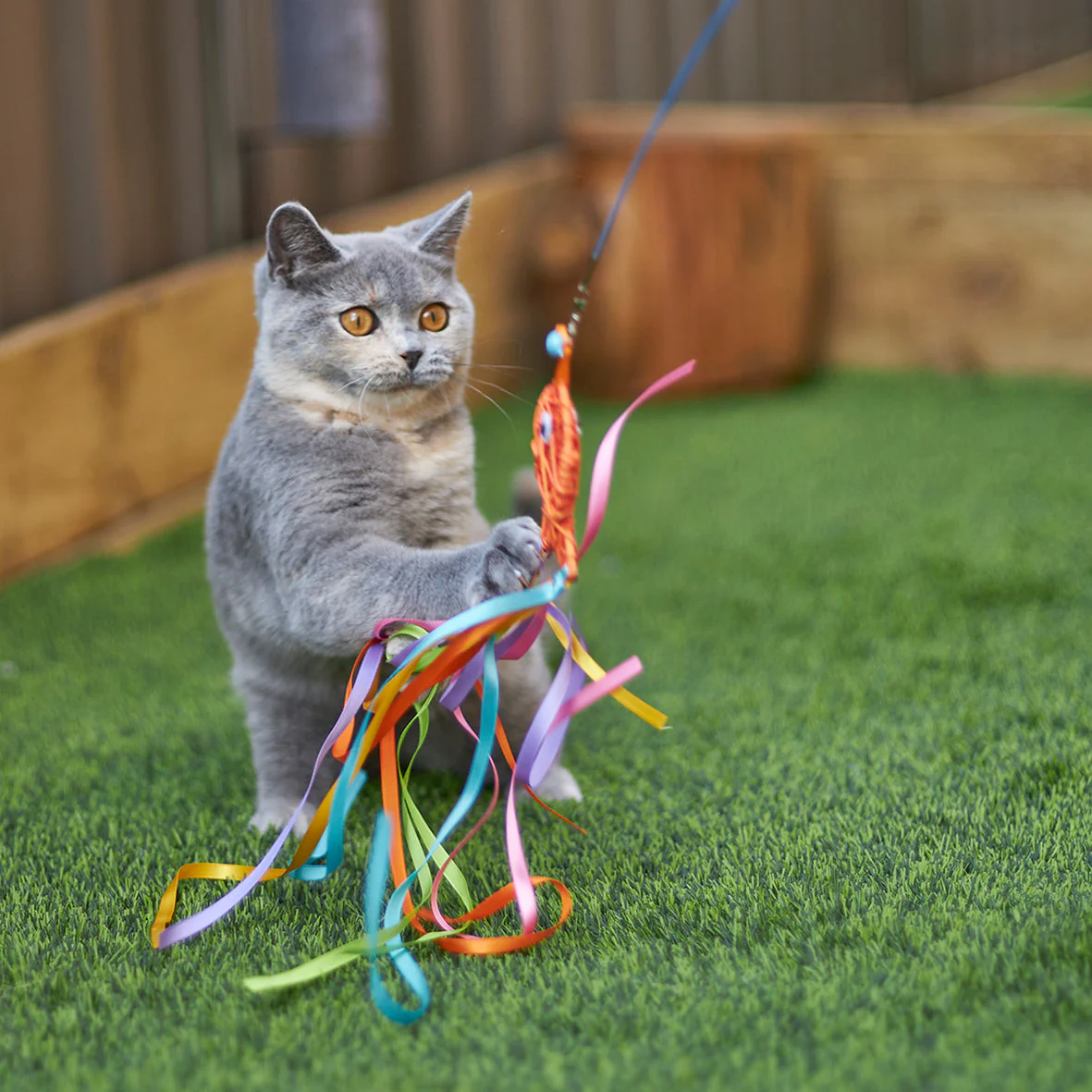 Kazoo Streamer Fish Play and Catch Wand Cat Toy - Image 4