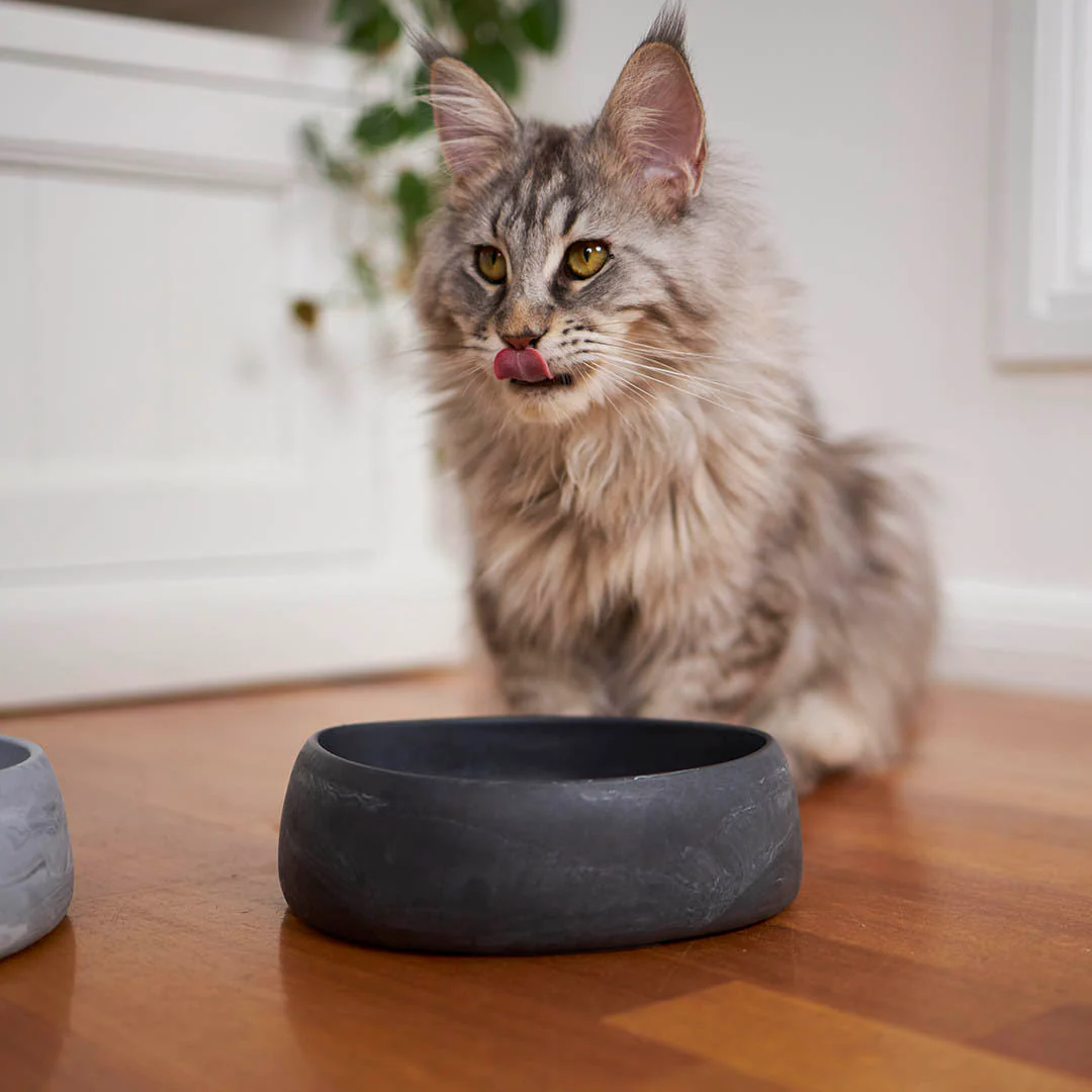 Kazoo The Better Bowl Recycled Plastic Ergonomic Dog and Cat Bowl Charcoal - Image 3