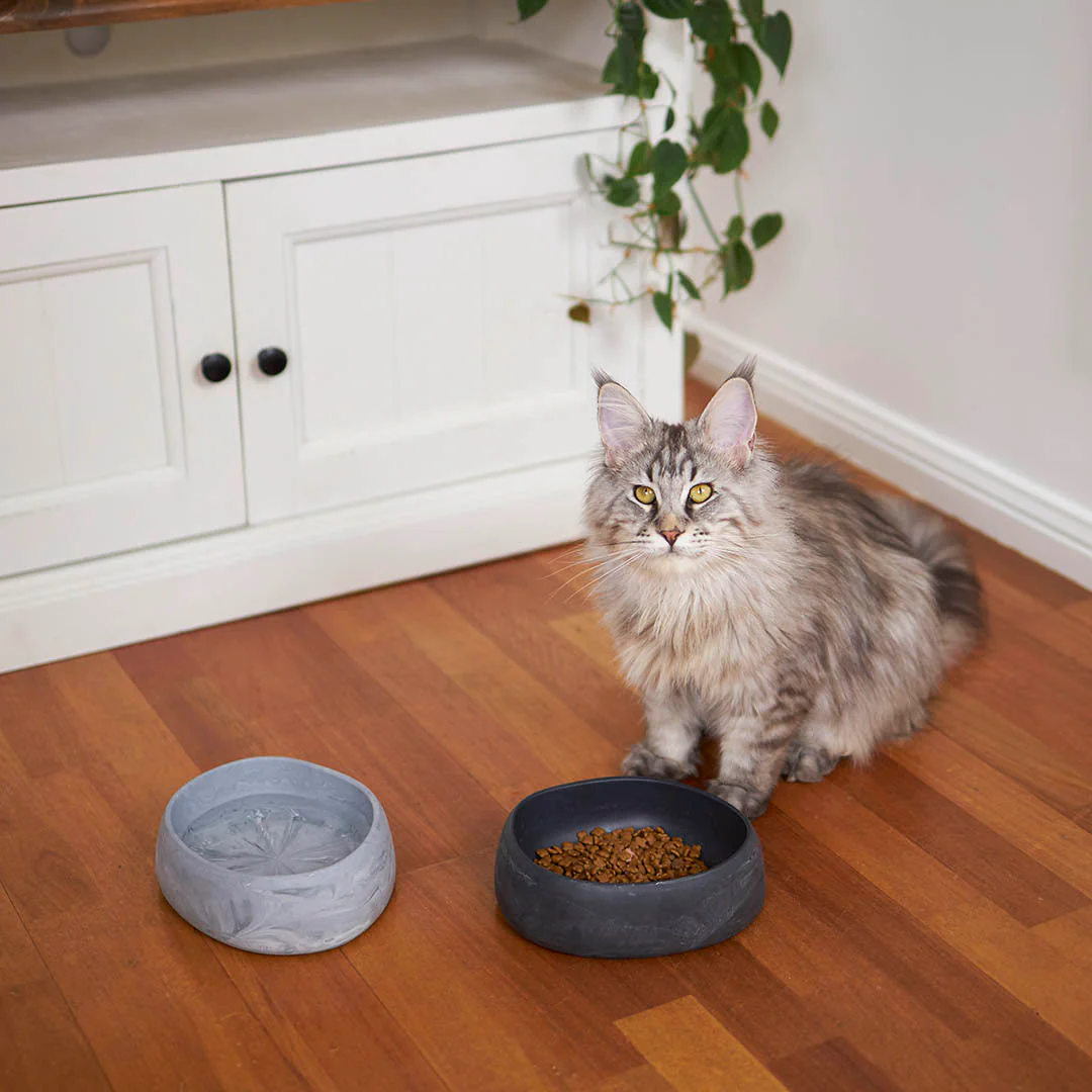 Kazoo The Better Bowl Recycled Plastic Ergonomic Dog and Cat Bowl Charcoal - Image 4
