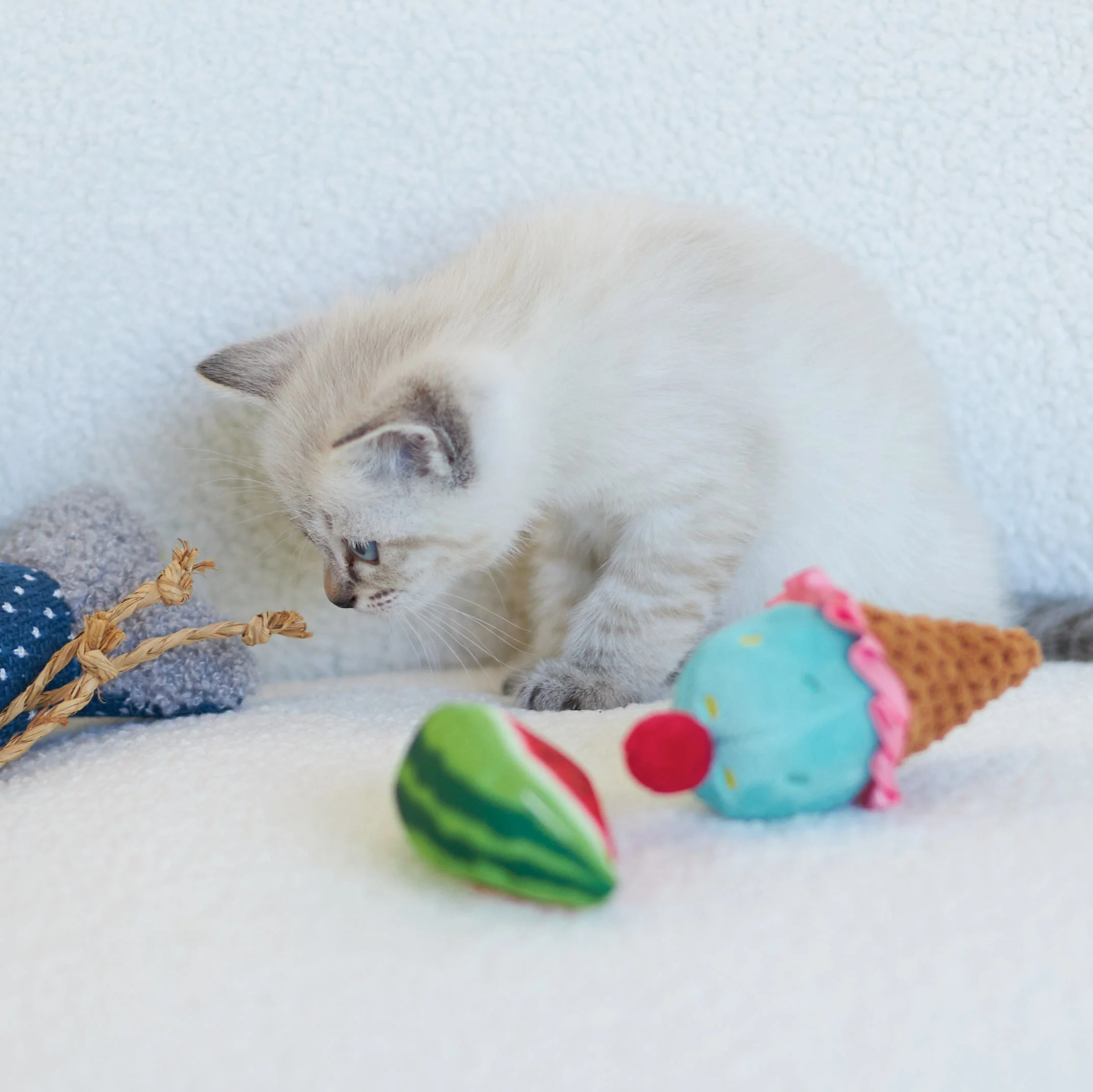 Kazoo Watermelon Wedge Cat Toy - Image 3