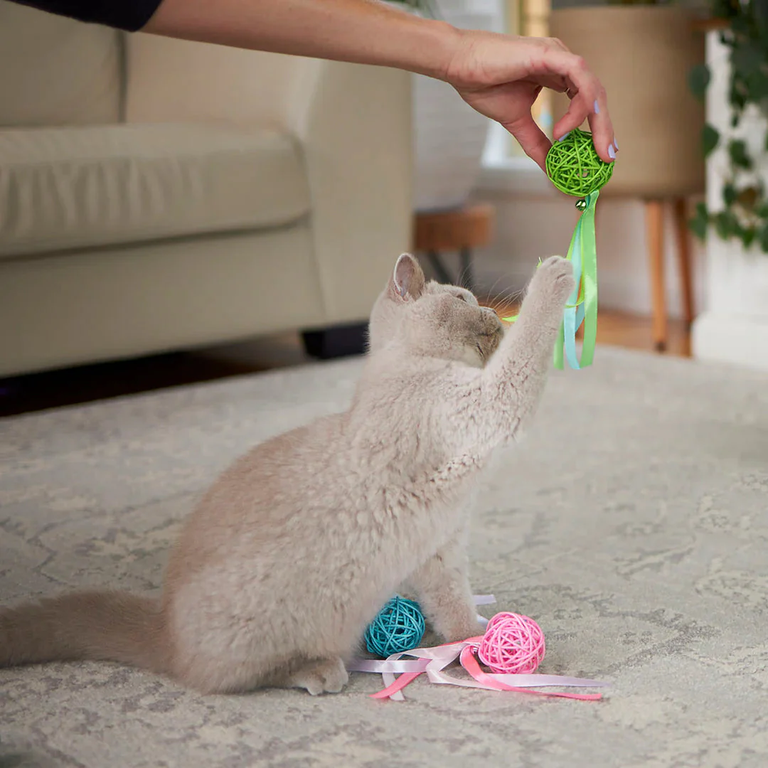 Kazoo Wicker Ball Cat Toy - Image 2