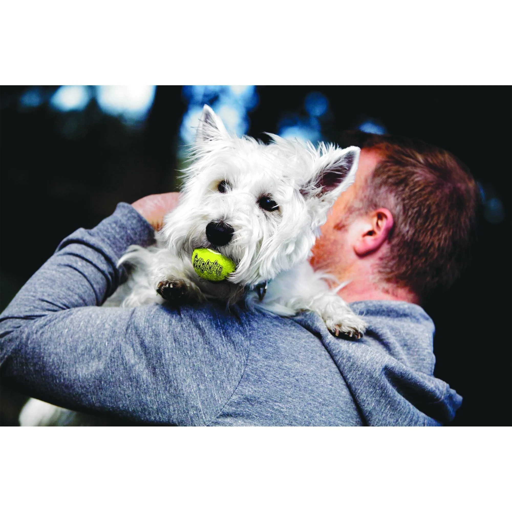 KONG Airdog Squeaker Balls Small Dog Toy 3 Pack - Image 2