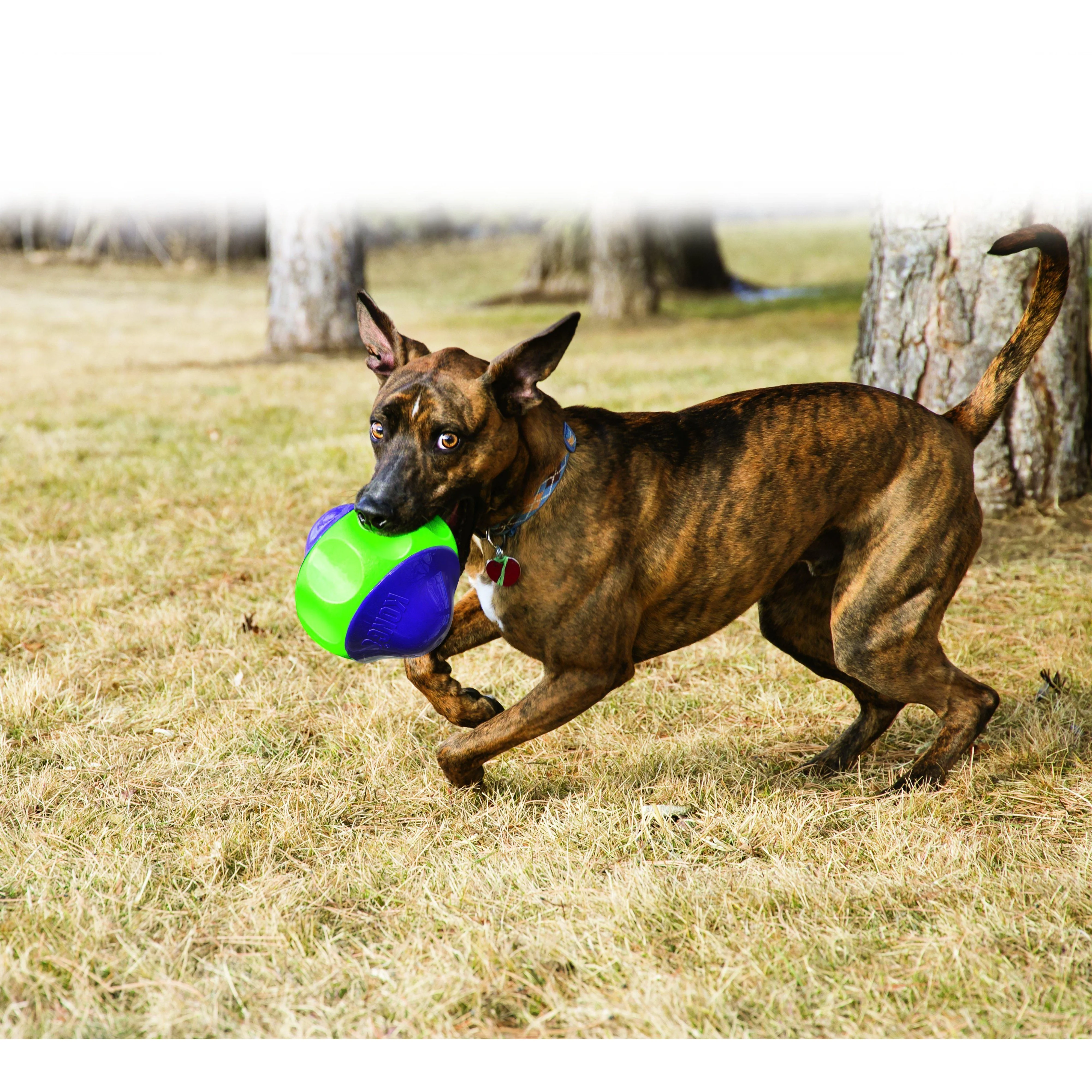 KONG Babbler Large Dog Toy* - Image 2