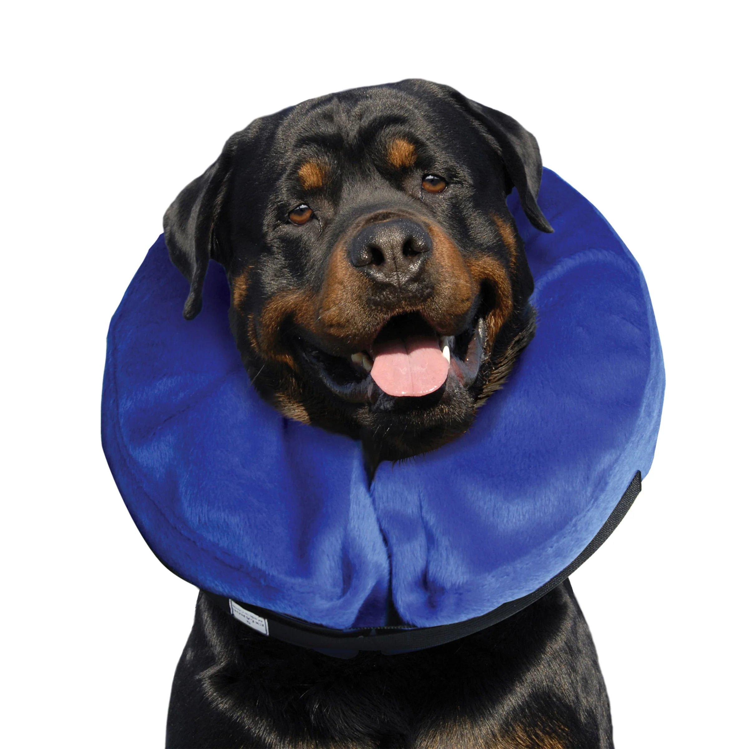 KONG Cloud Recovery Dog Collar Extra Large - Image 3