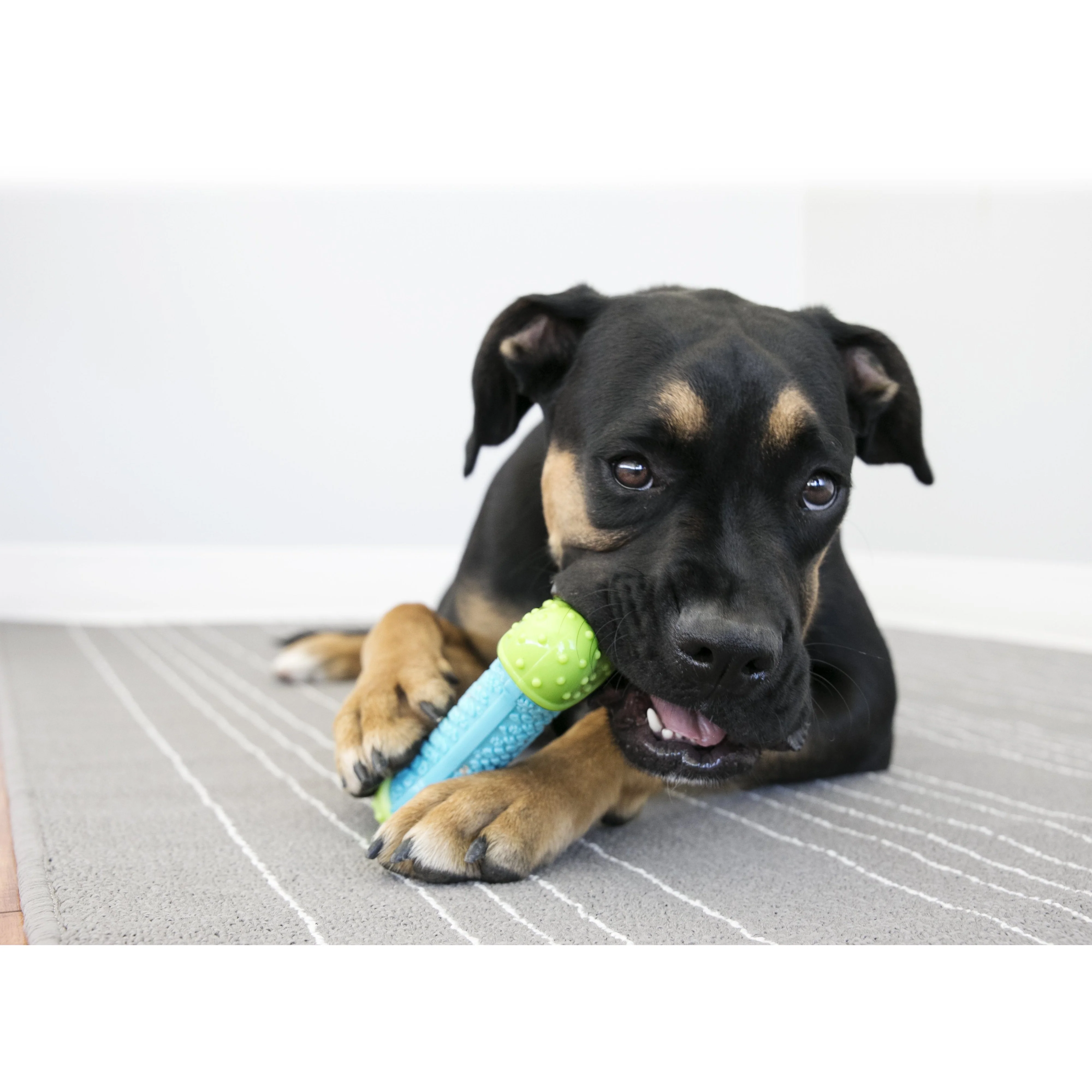 KONG Corestrength Bone Medium/Large Dog Toy - Image 3