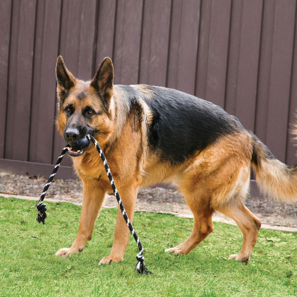 KONG Dog Extreme Ball with Rope Large - Image 3